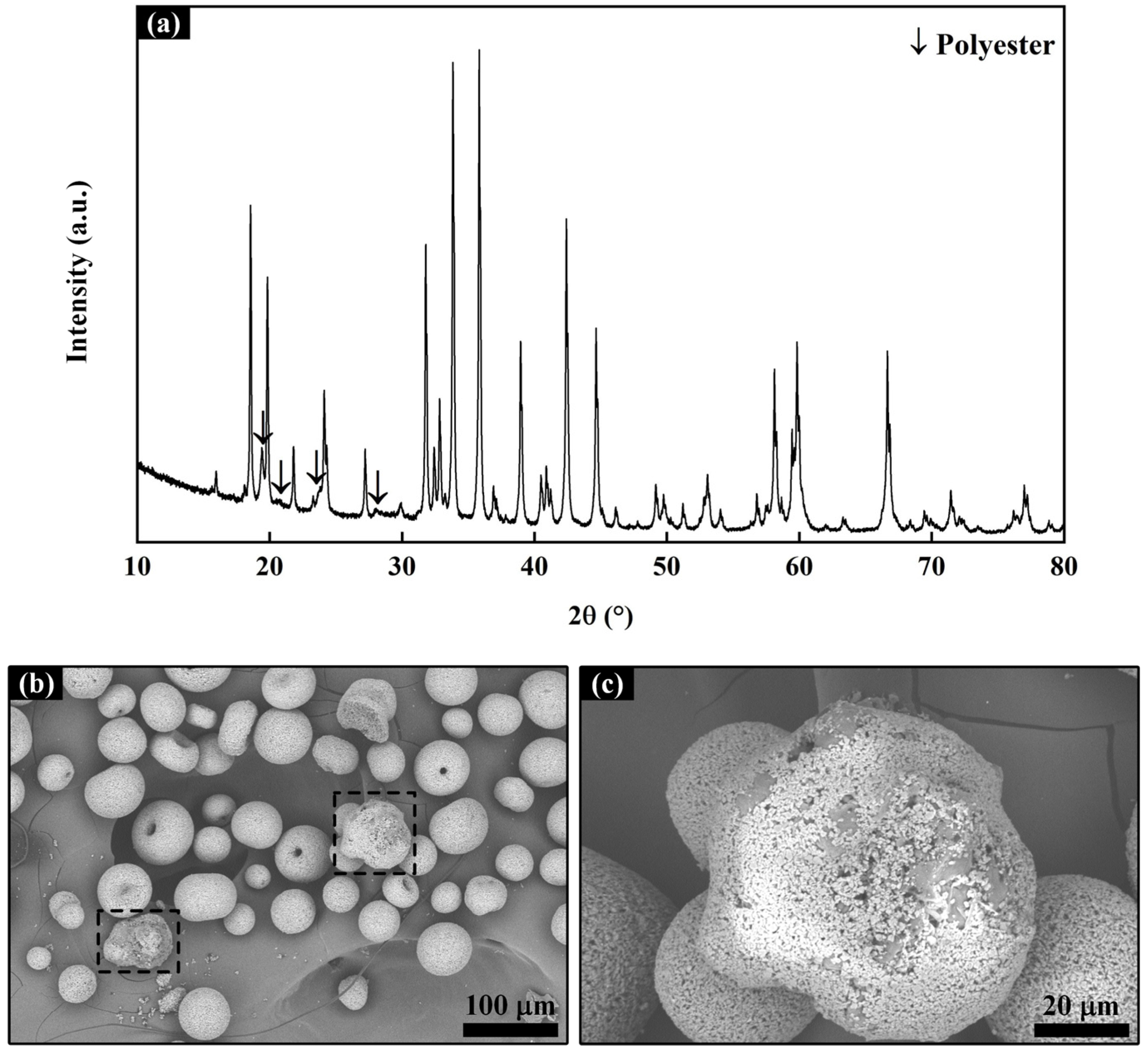 Coatings 14 00426 g001