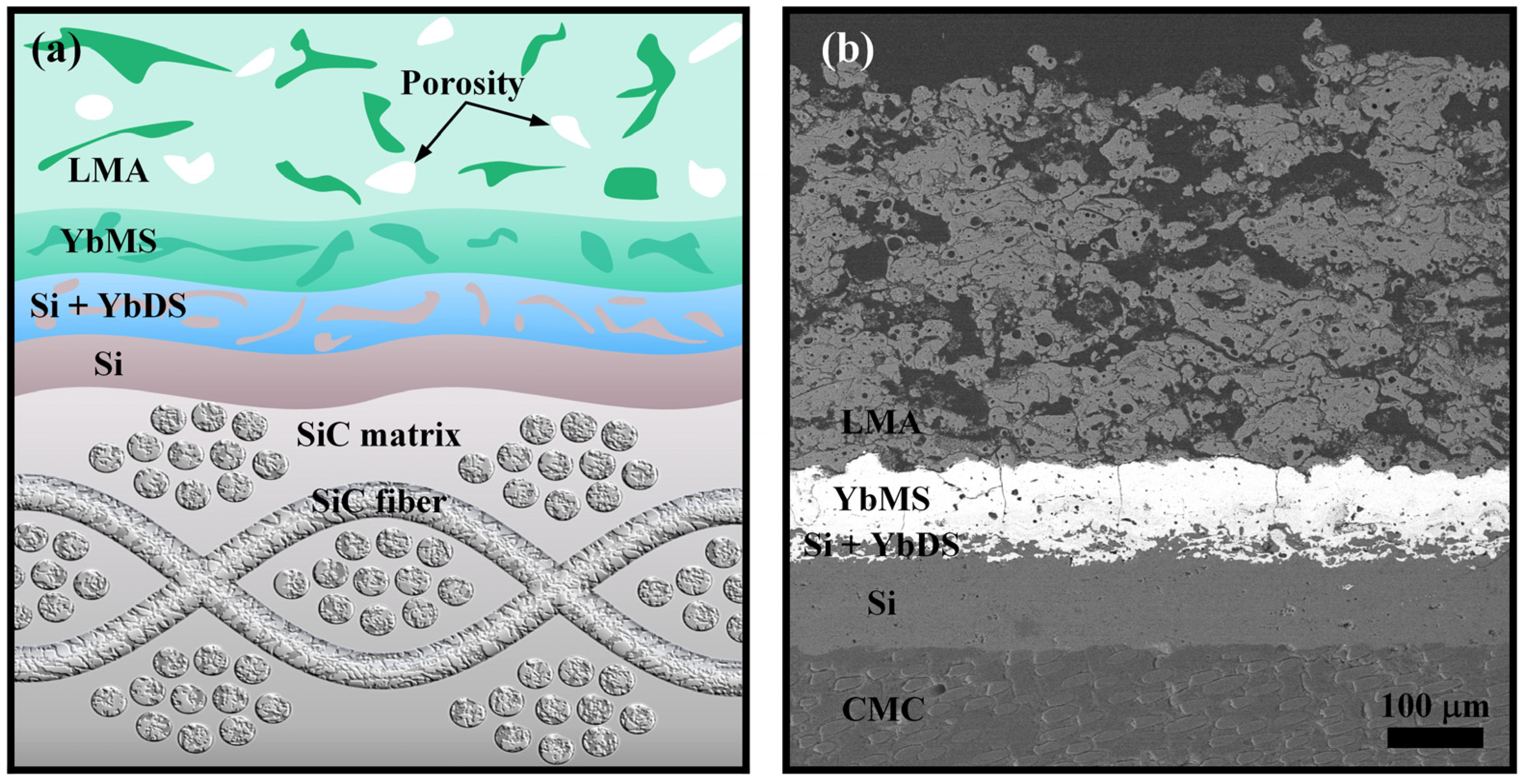 Coatings 14 00426 g003