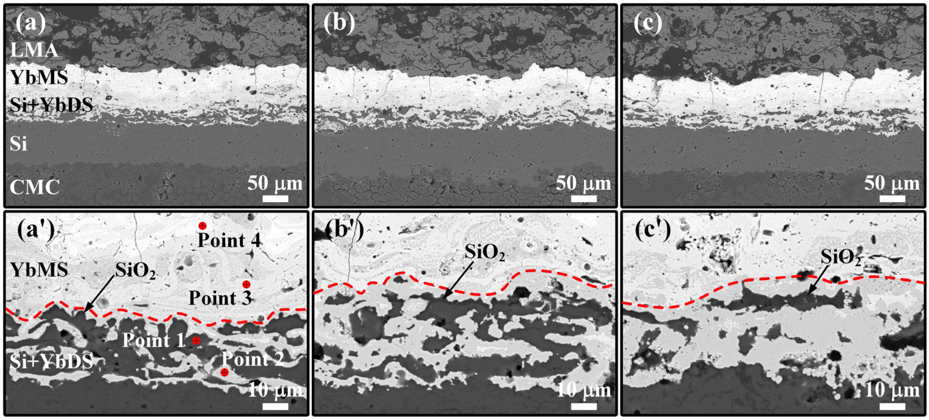 Coatings 14 00426 g010
