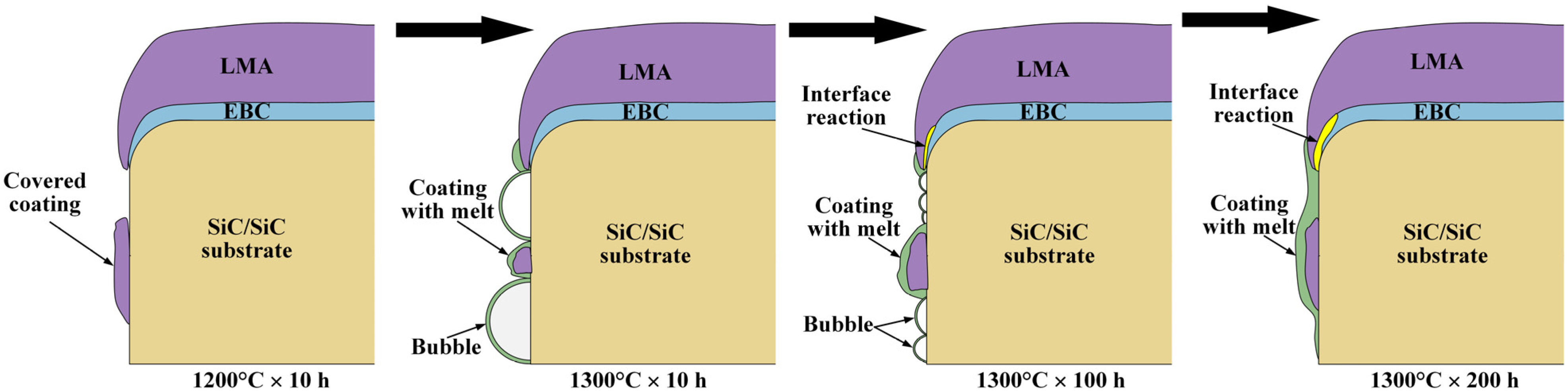 Coatings 14 00426 g012