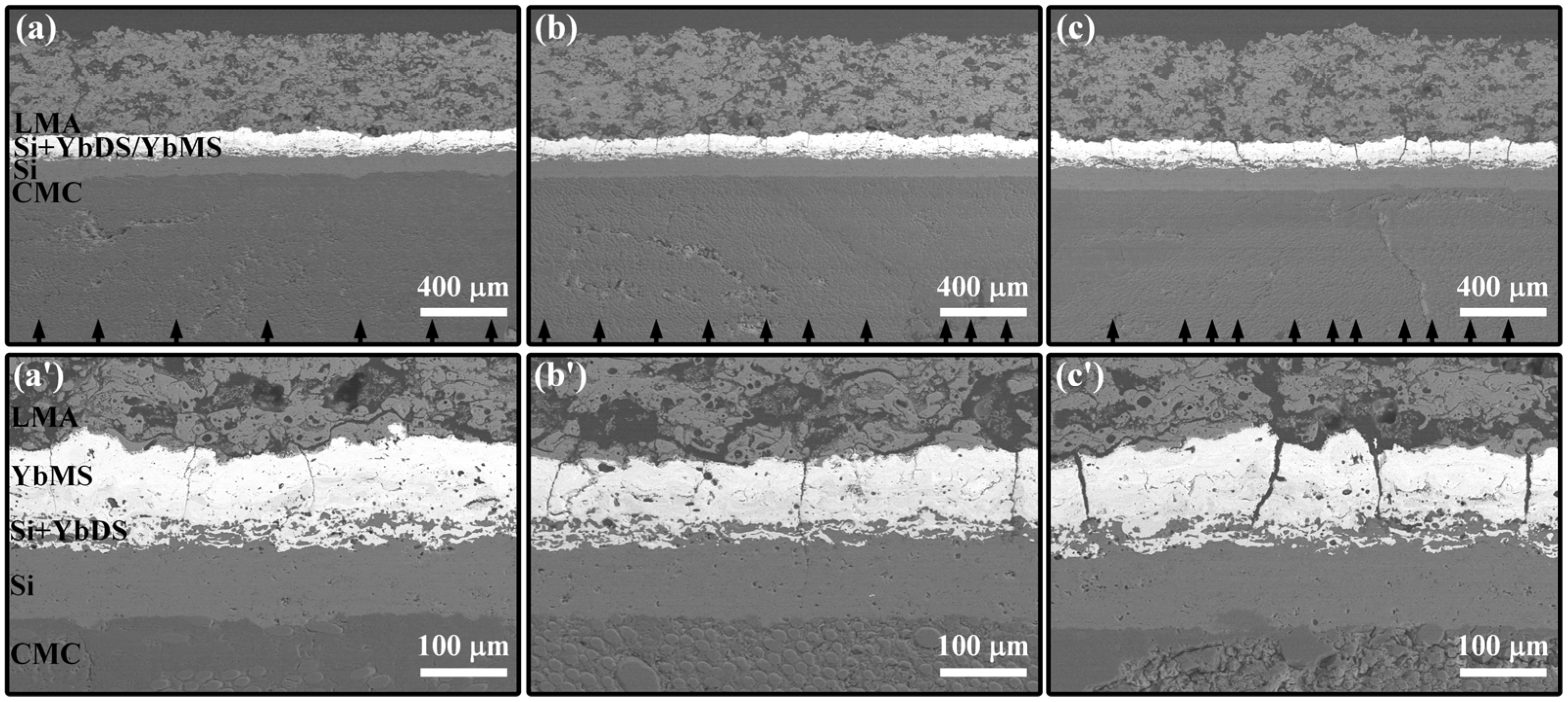 Coatings 14 00426 g014
