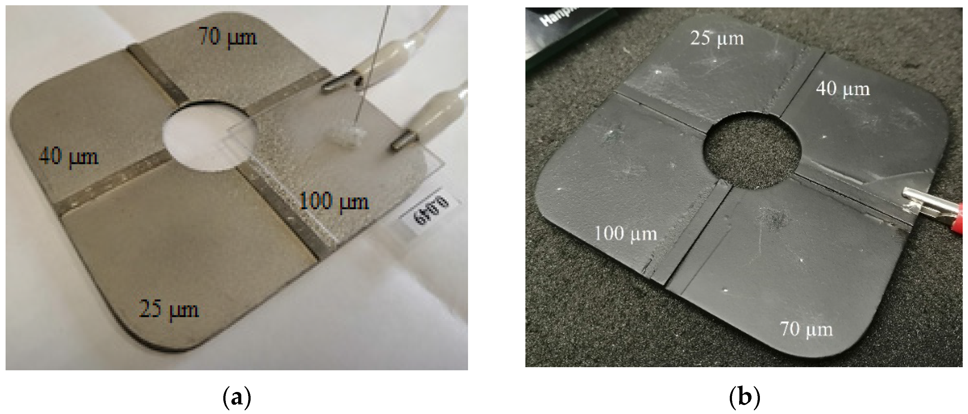 Coatings 14 00427 g015