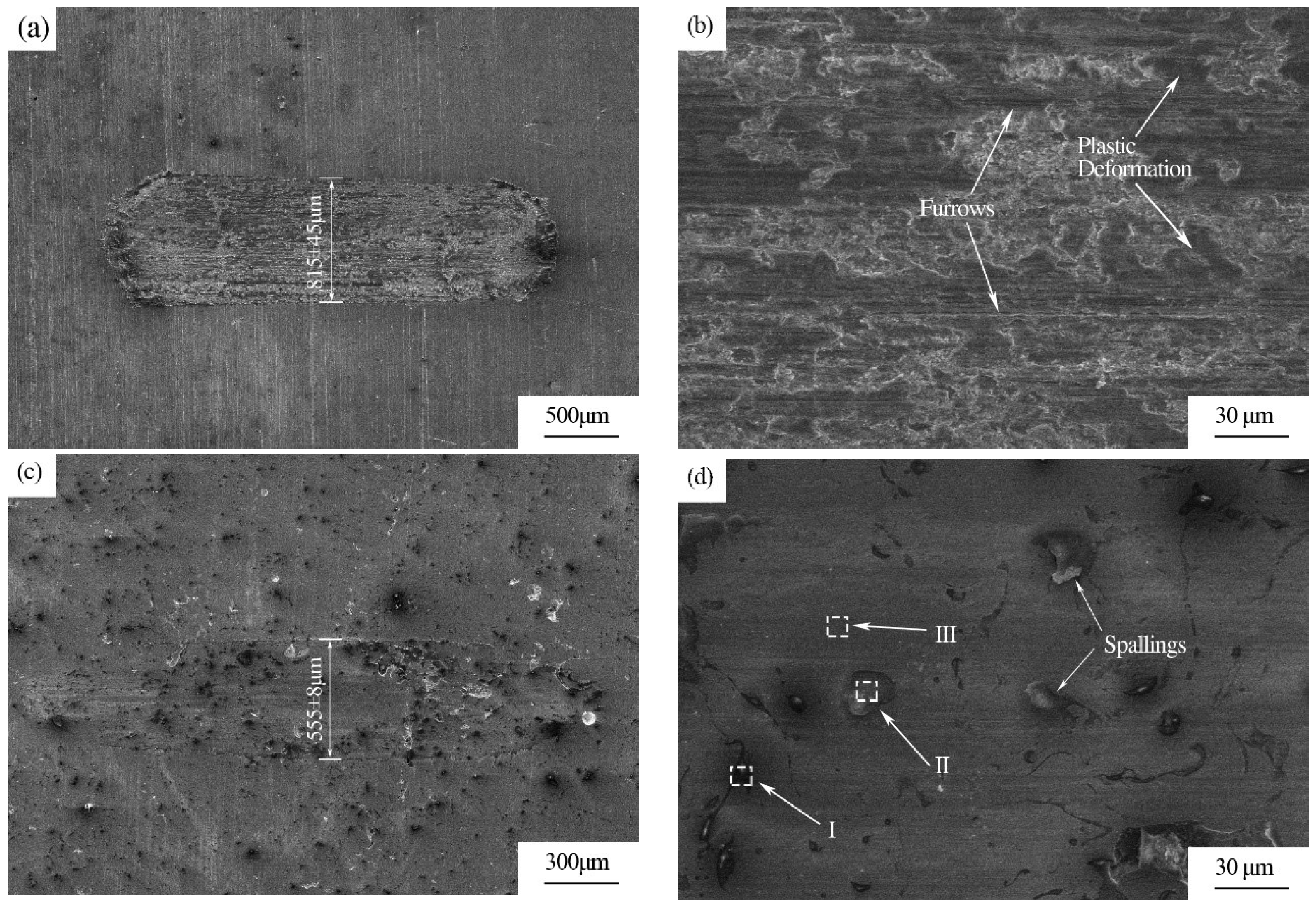 Coatings 14 00428 g011 Coatings 14 00428 g011