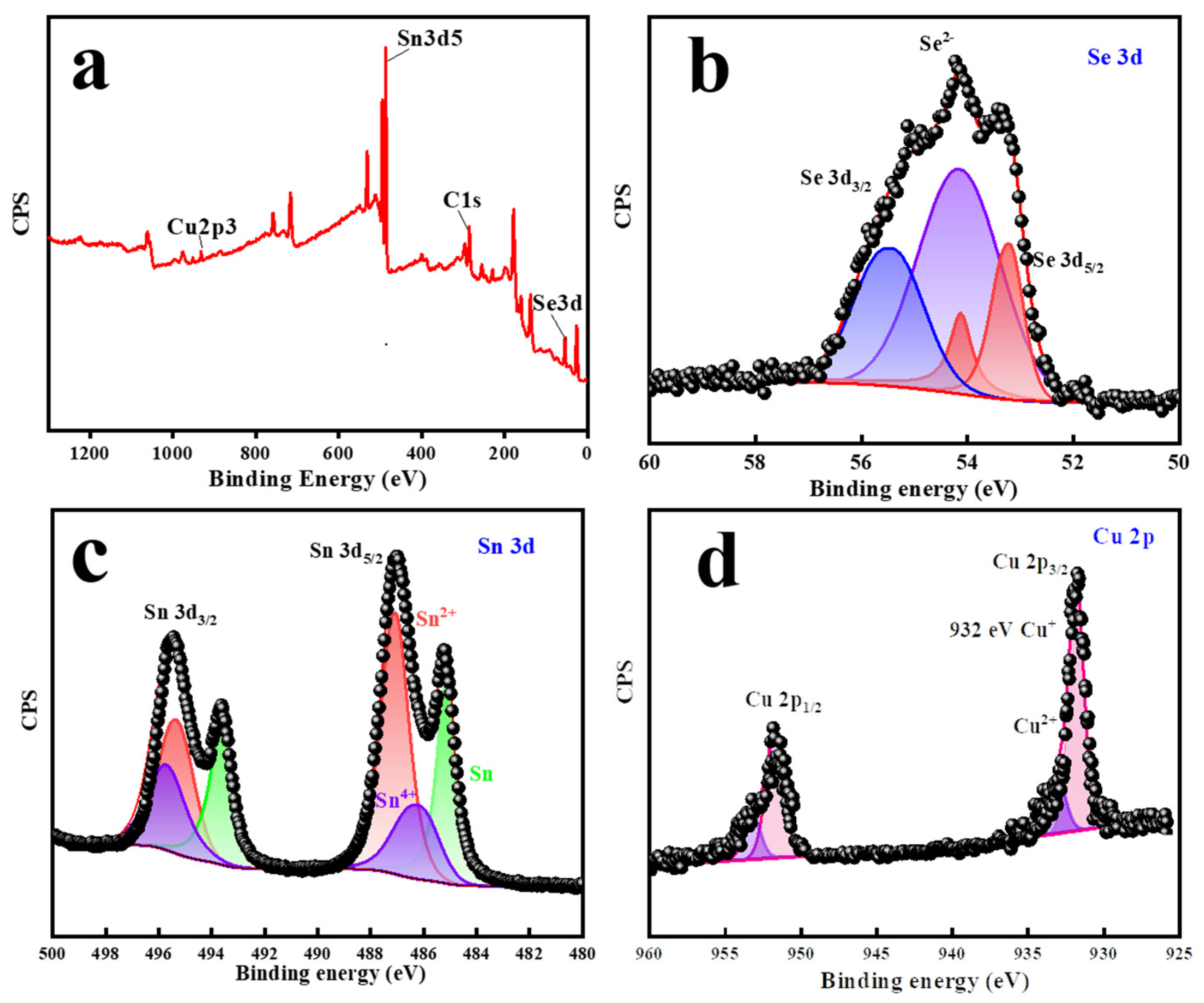 Coatings 14 00431 g002