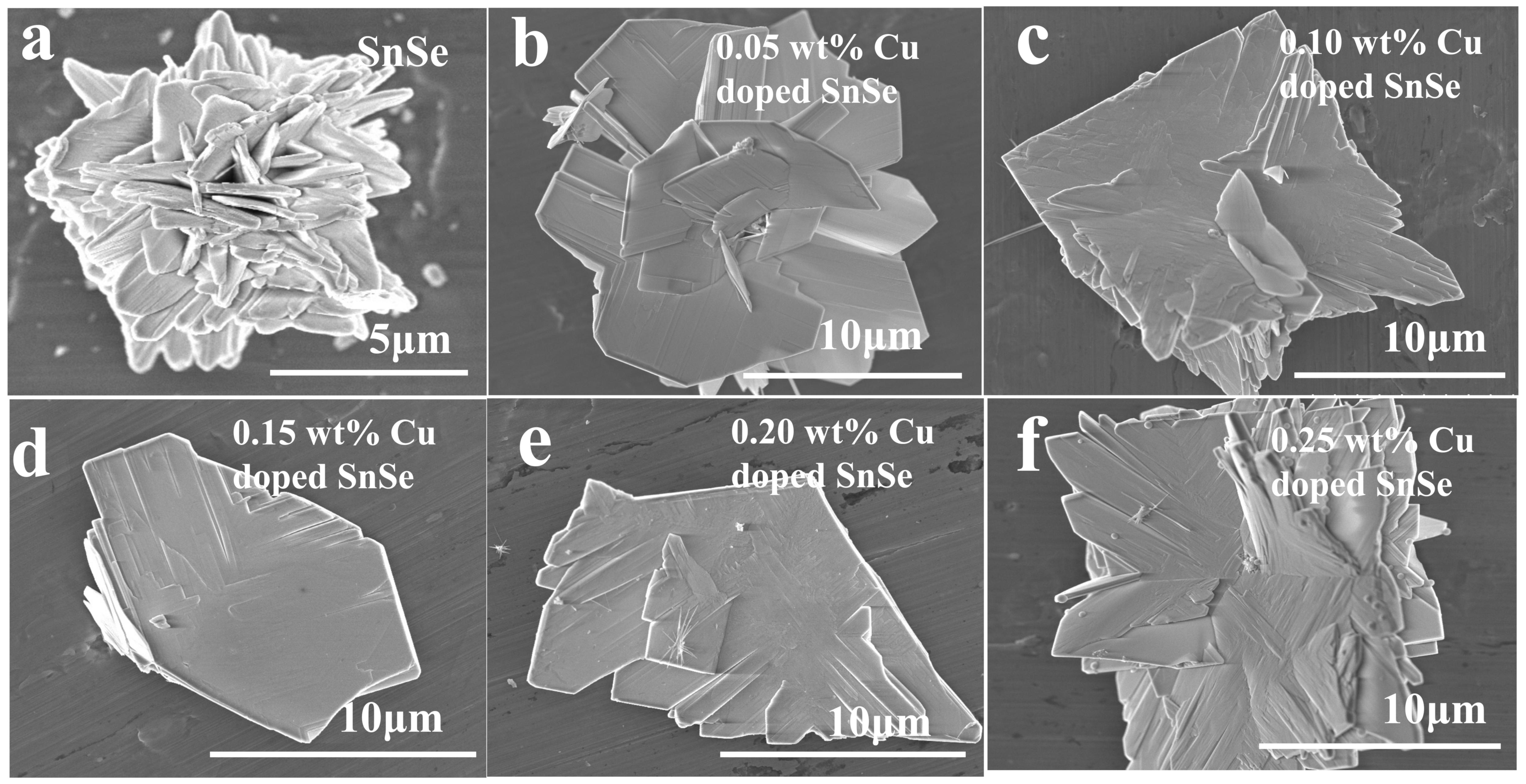 Coatings 14 00431 g003