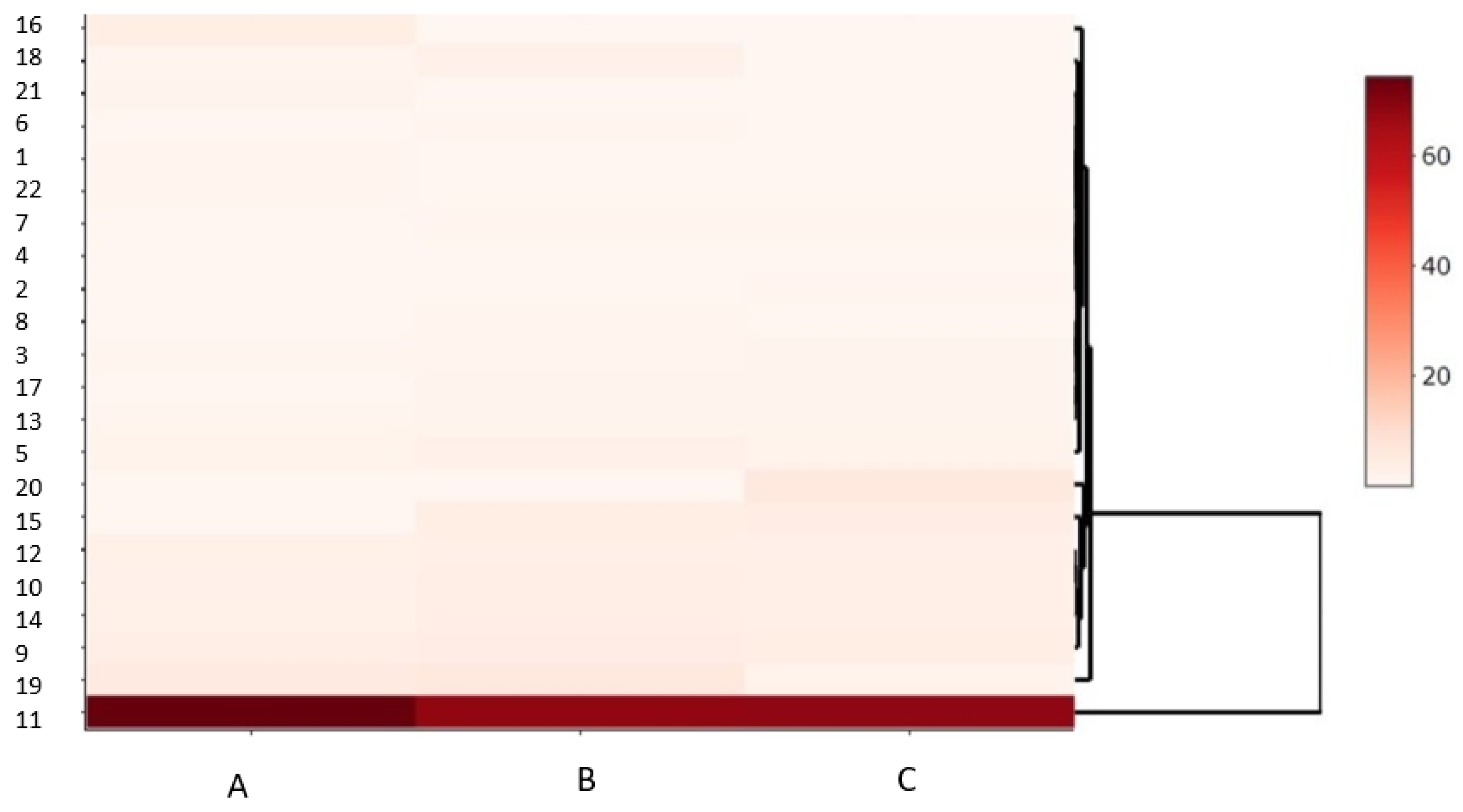 Coatings 14 00433 g006