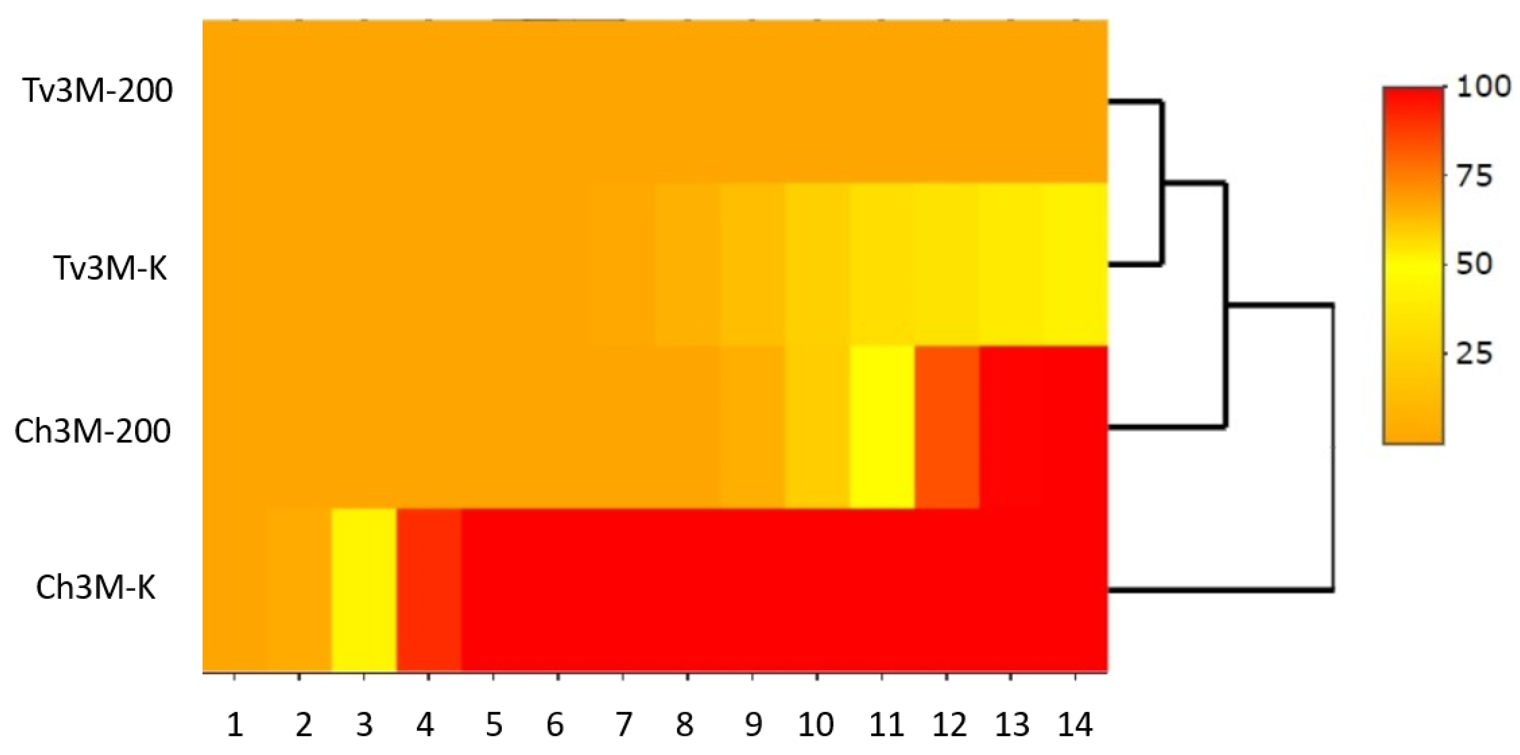 Coatings 14 00433 g007