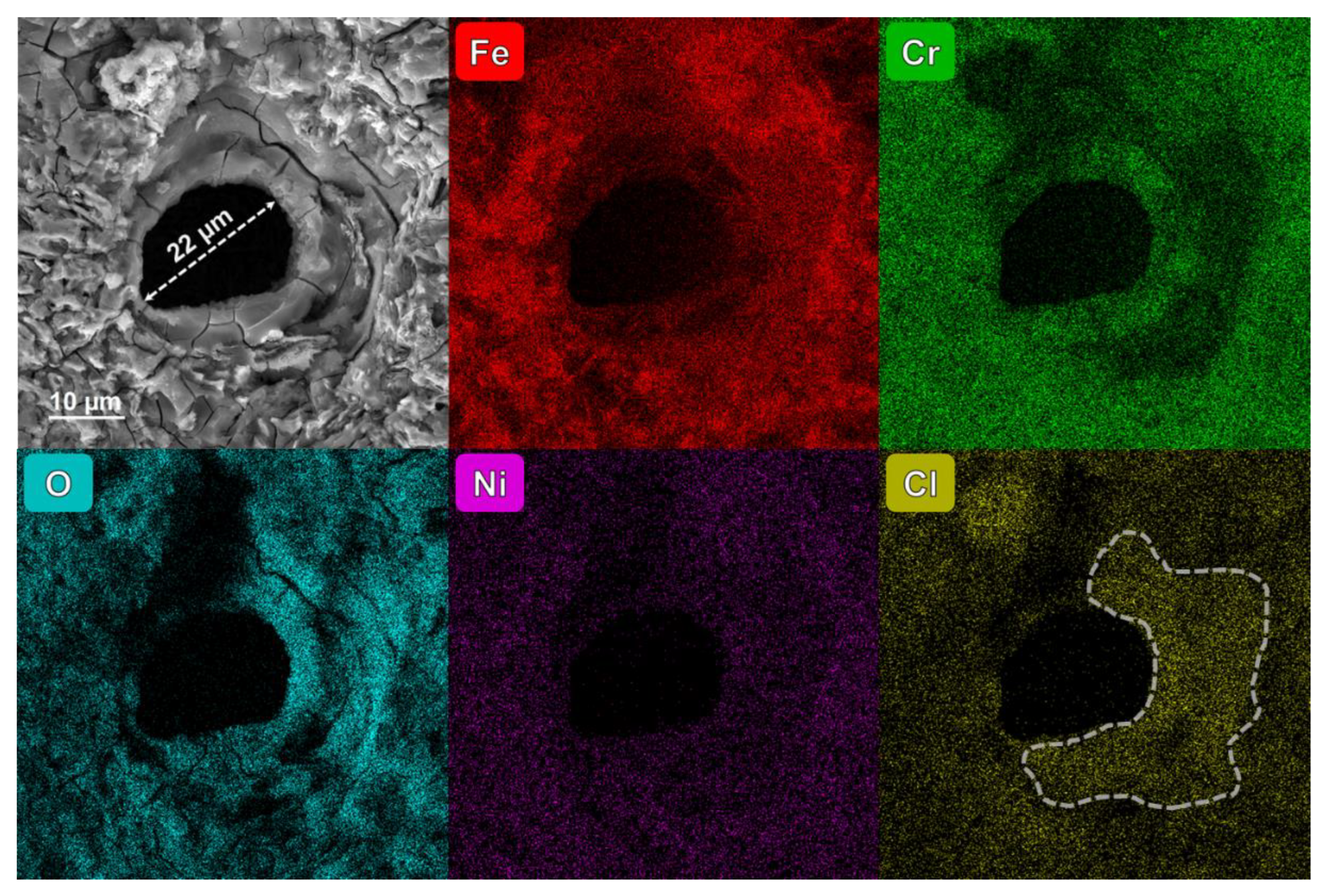 Coatings 14 00435 g010