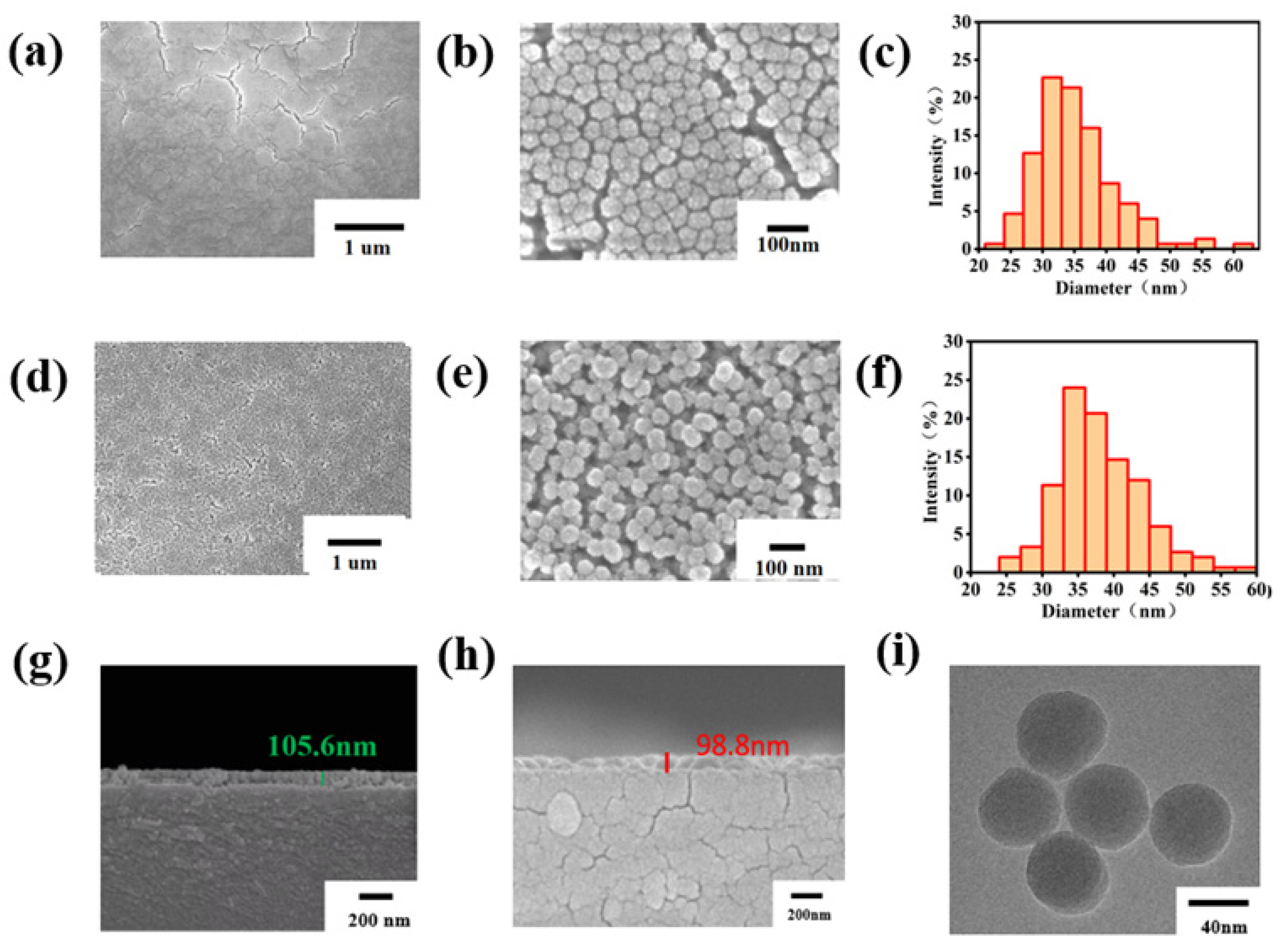 Coatings 14 00440 g002