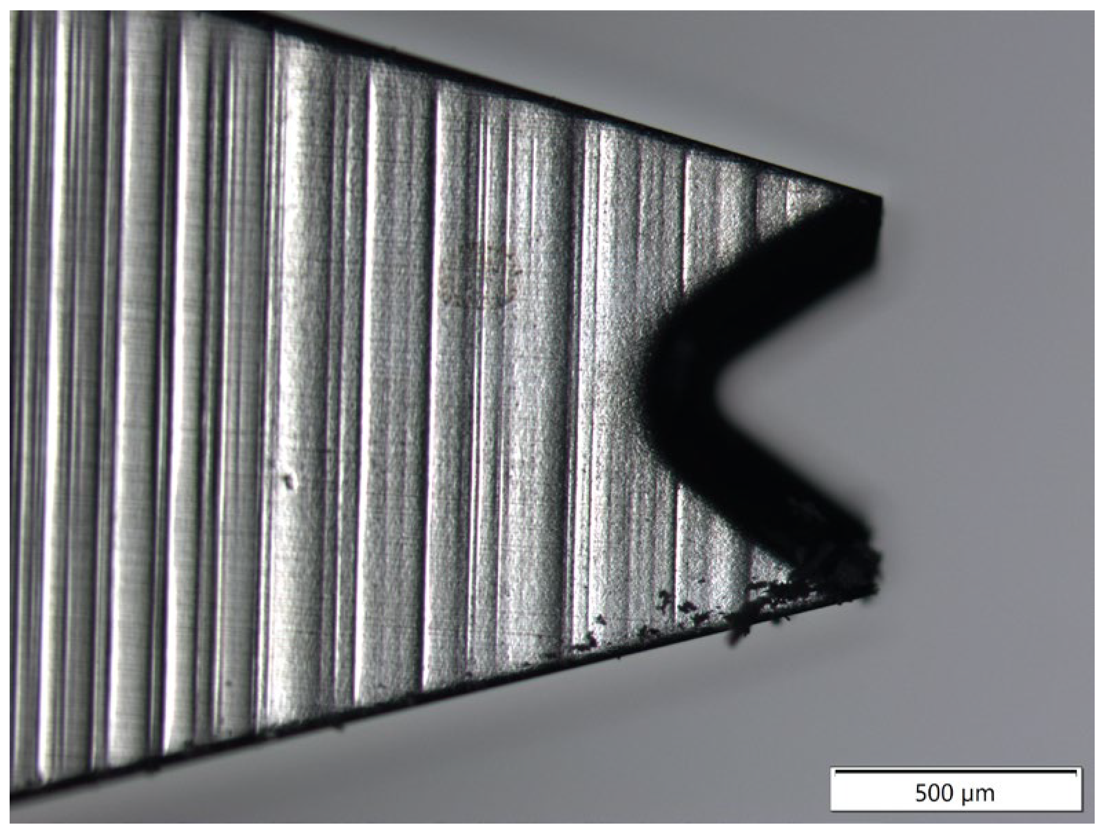 Coatings 14 00445 g003