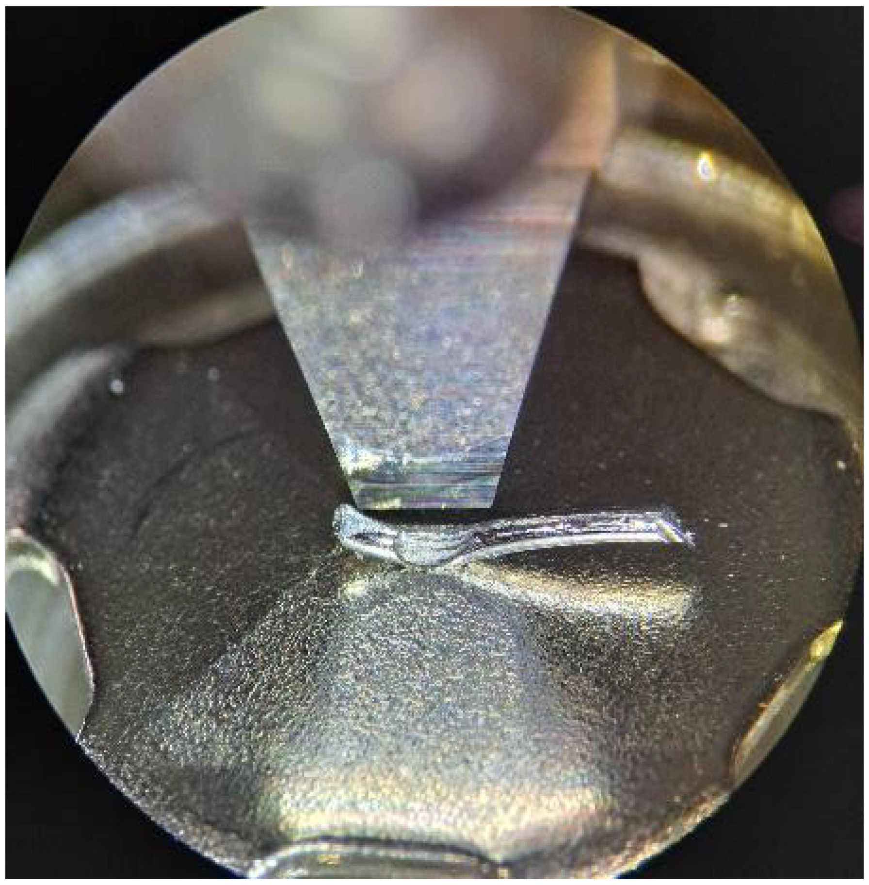 Coatings 14 00445 g005