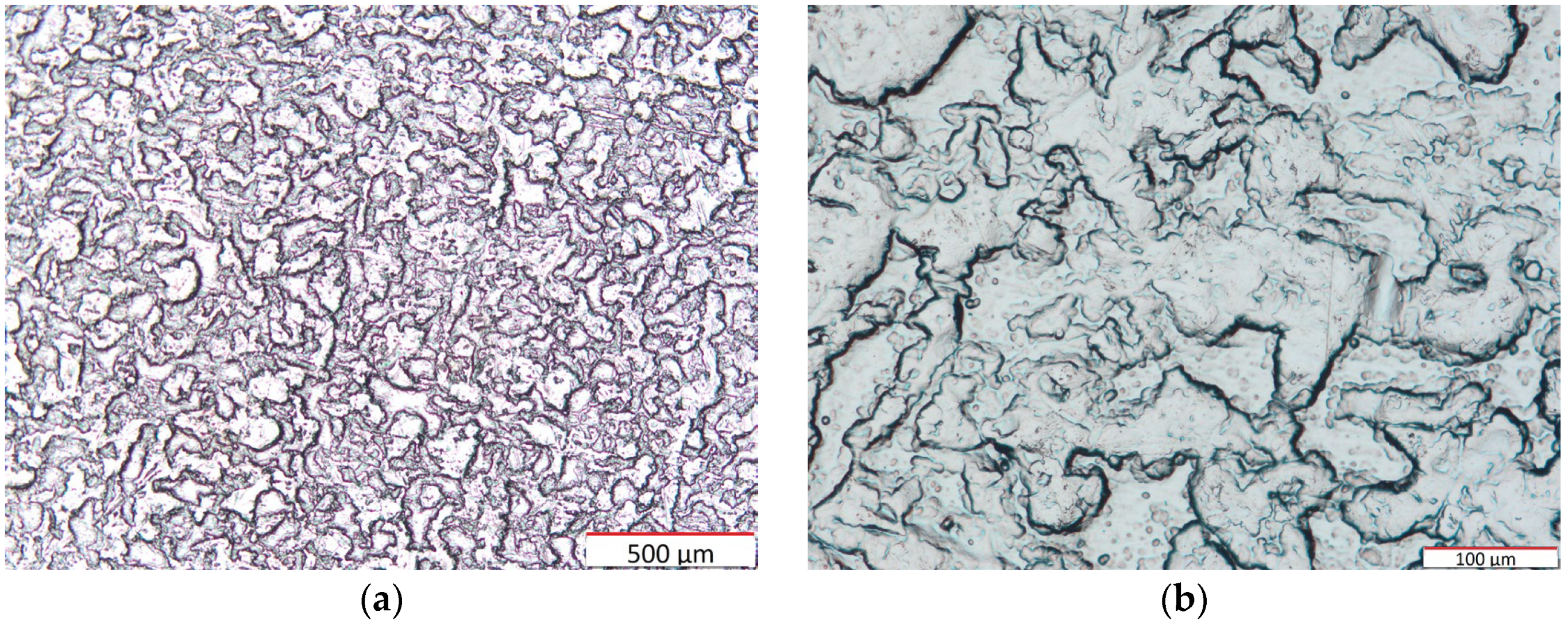 Coatings 14 00445 g006