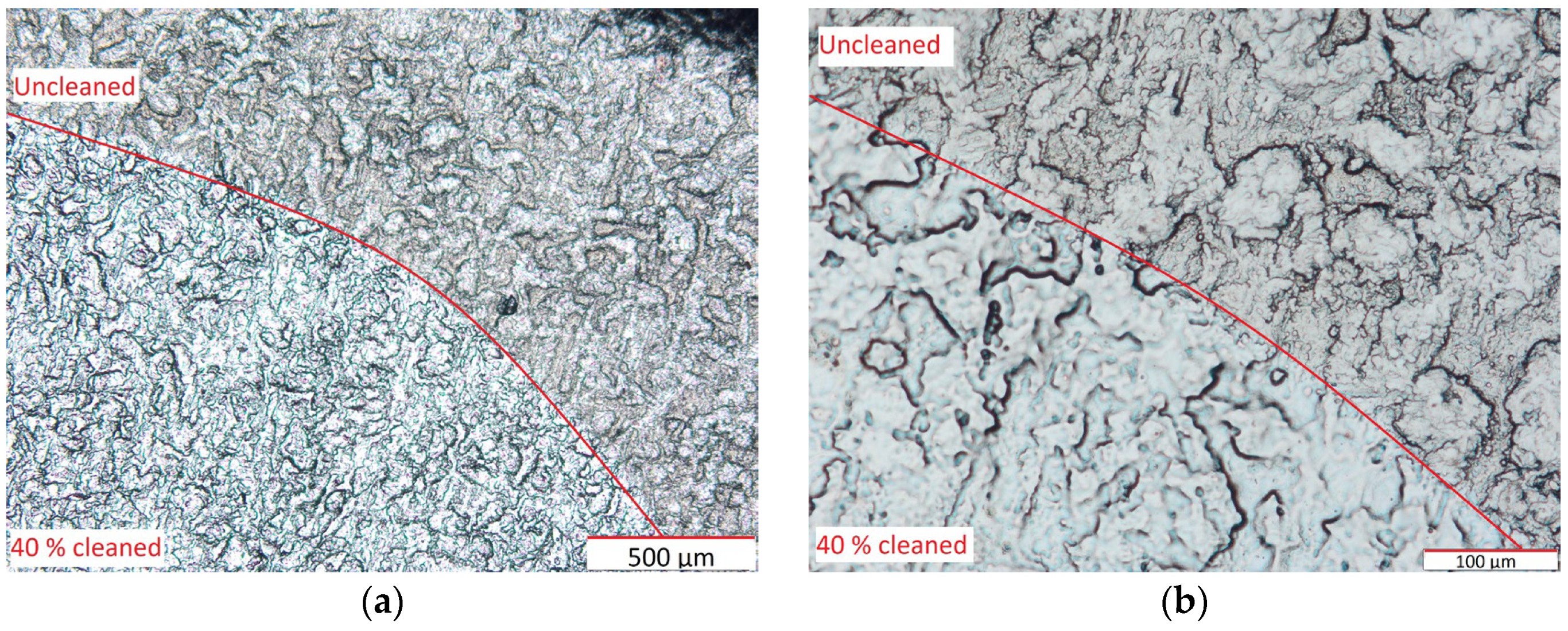 Coatings 14 00445 g007