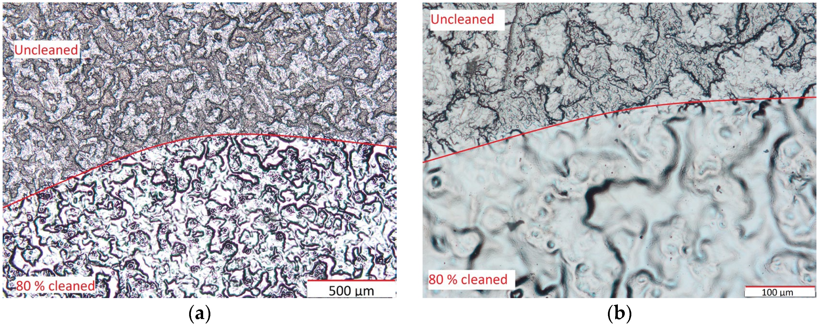Coatings 14 00445 g008