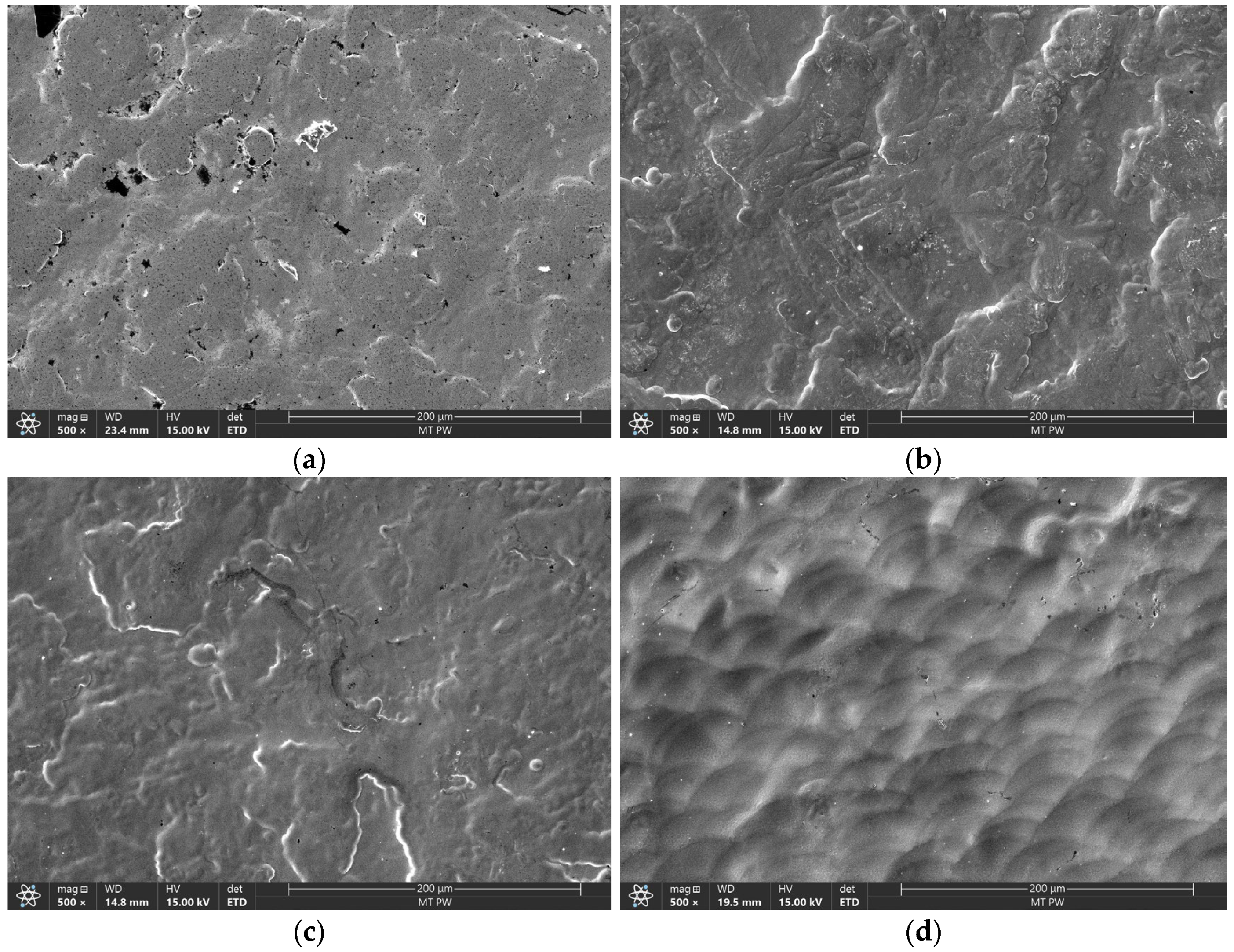 Coatings 14 00445 g009