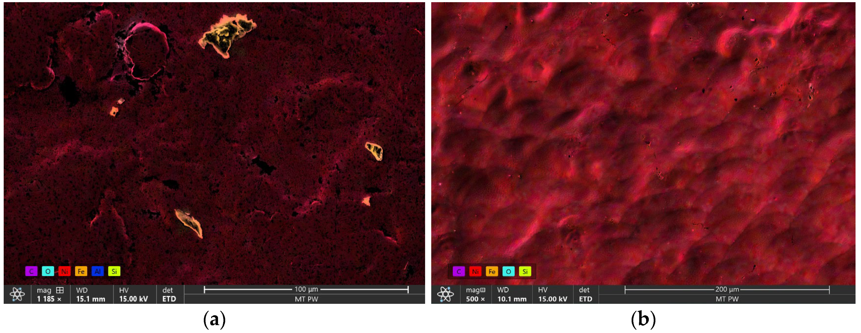 Coatings 14 00445 g010