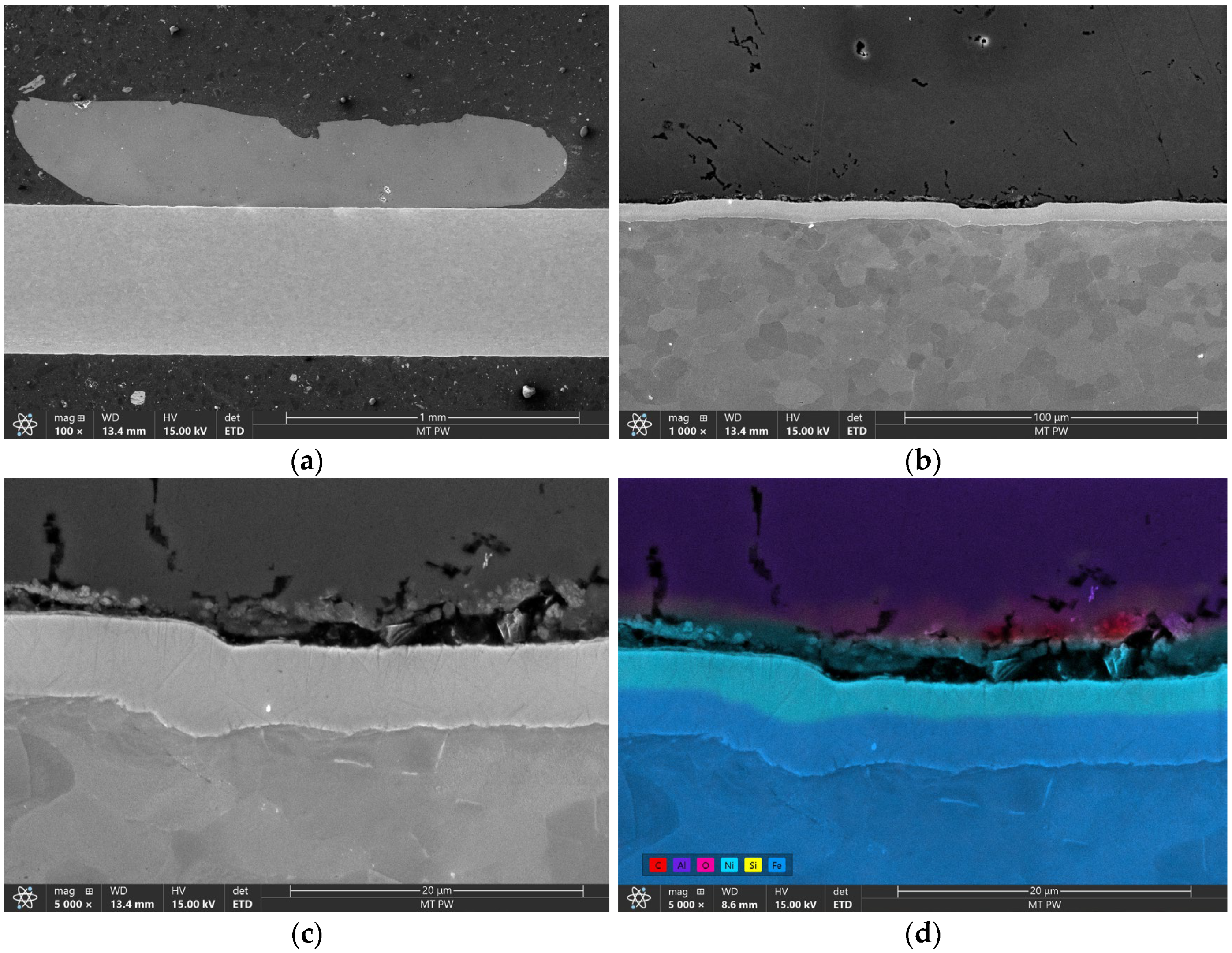 Coatings 14 00445 g014