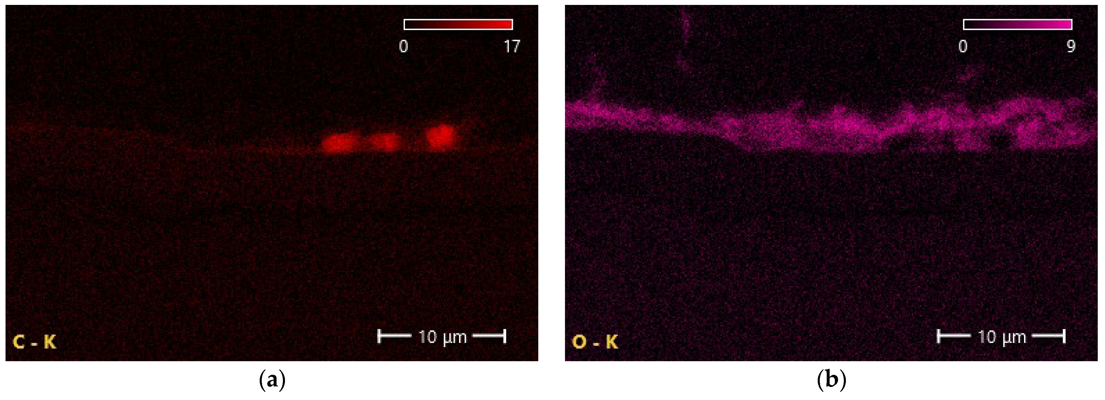 Coatings 14 00445 g015a