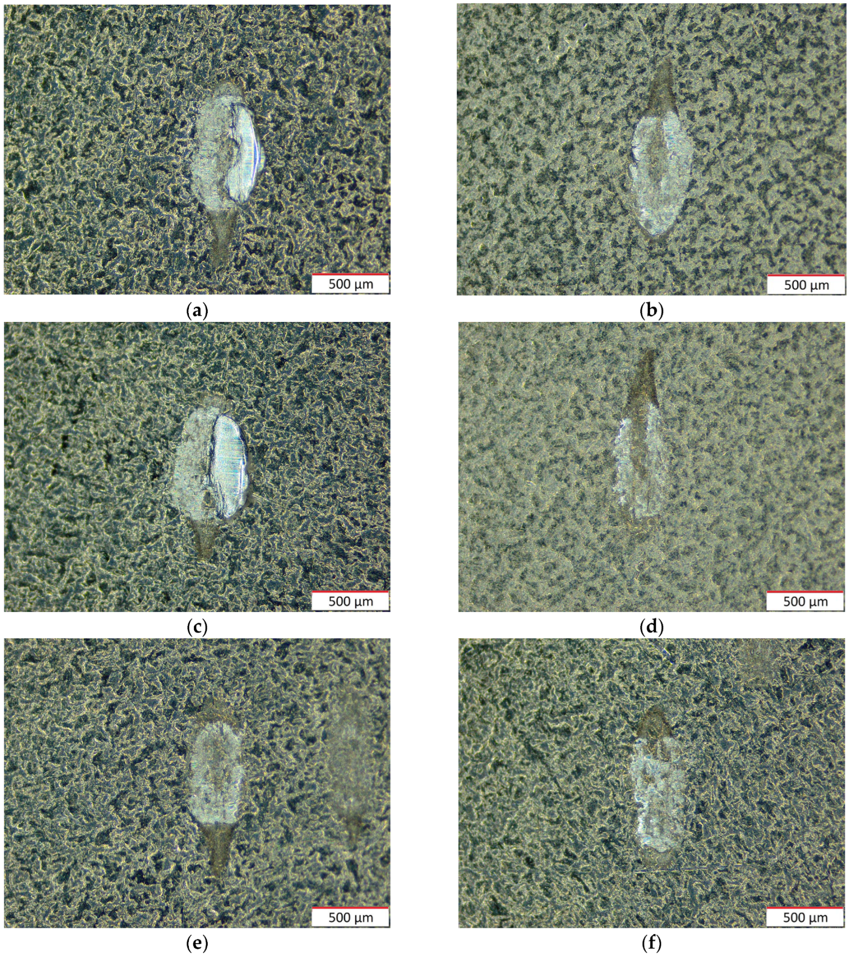 Coatings 14 00445 g019