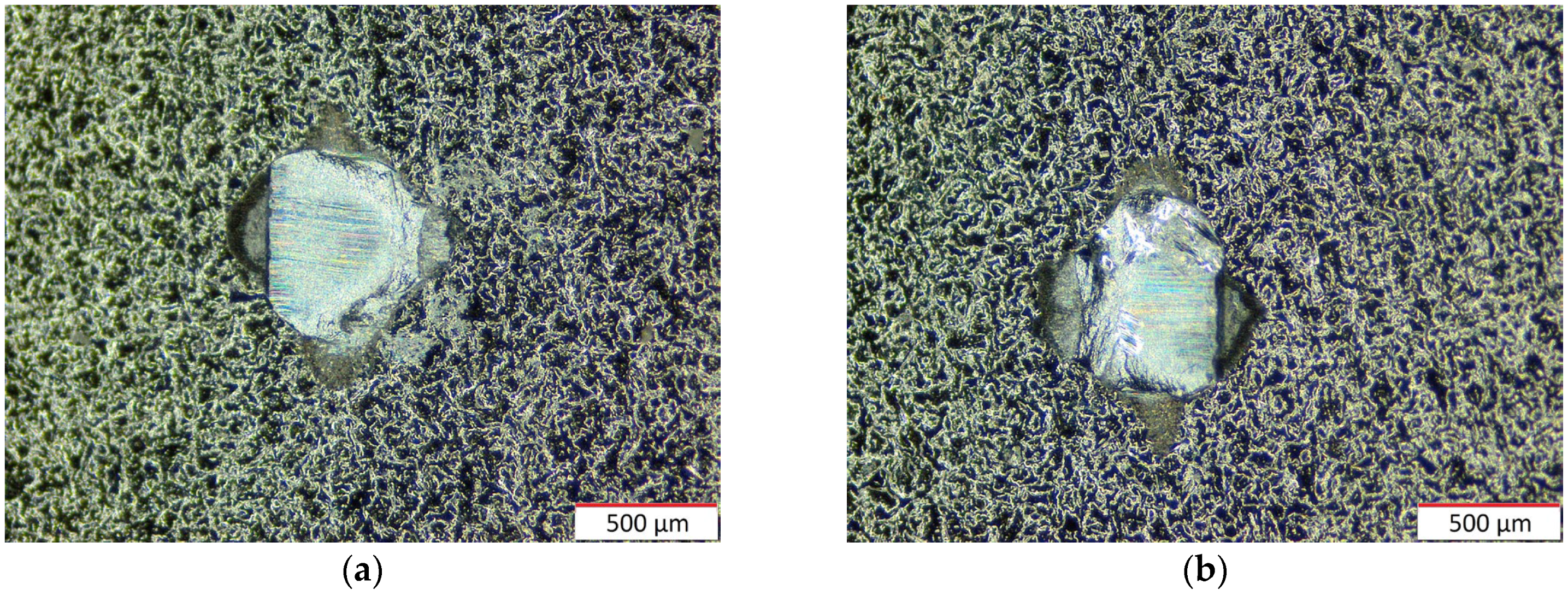 Coatings 14 00445 g021a