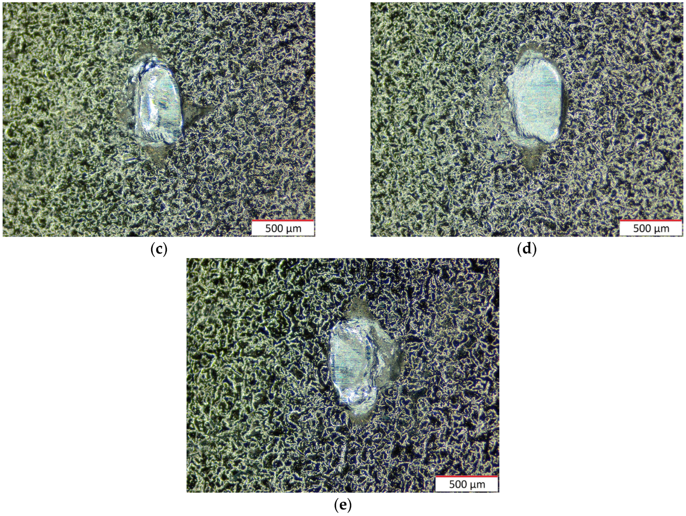 Coatings 14 00445 g021b