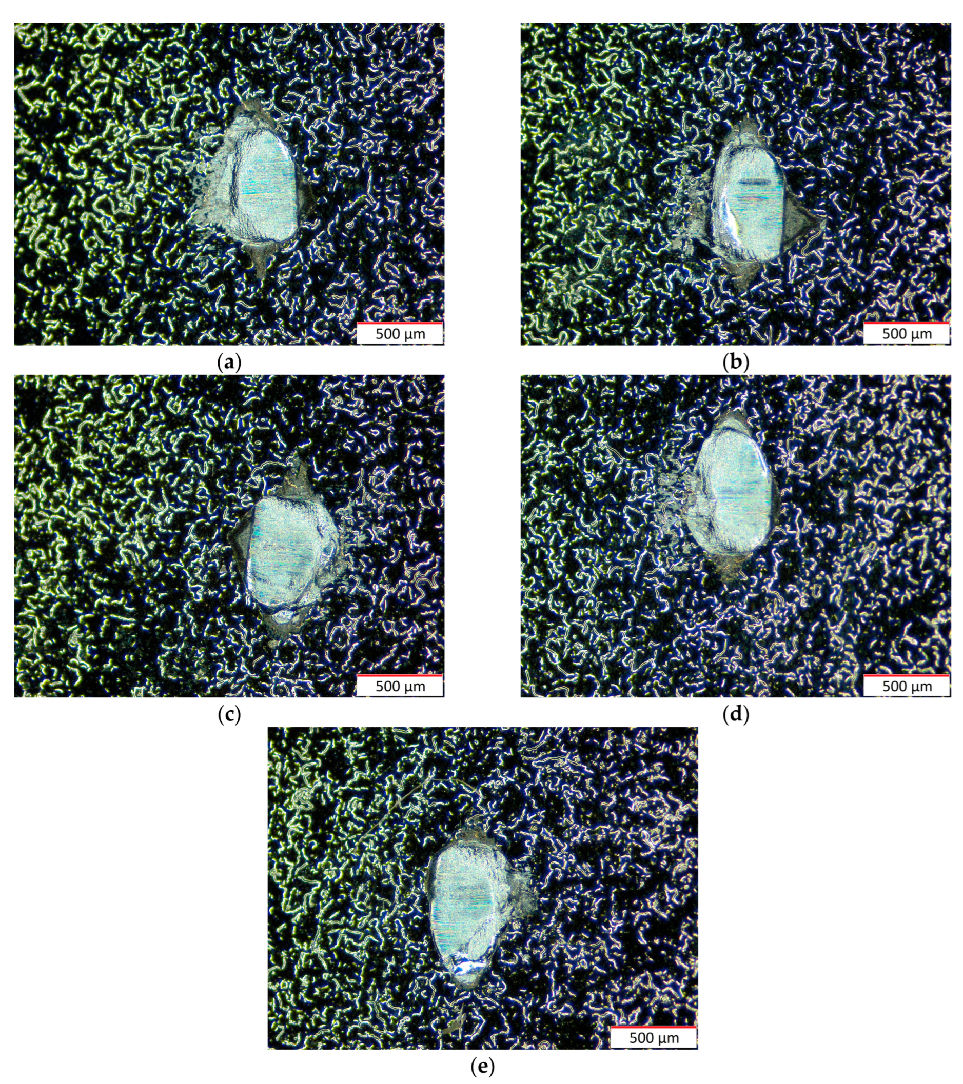 Coatings 14 00445 g023