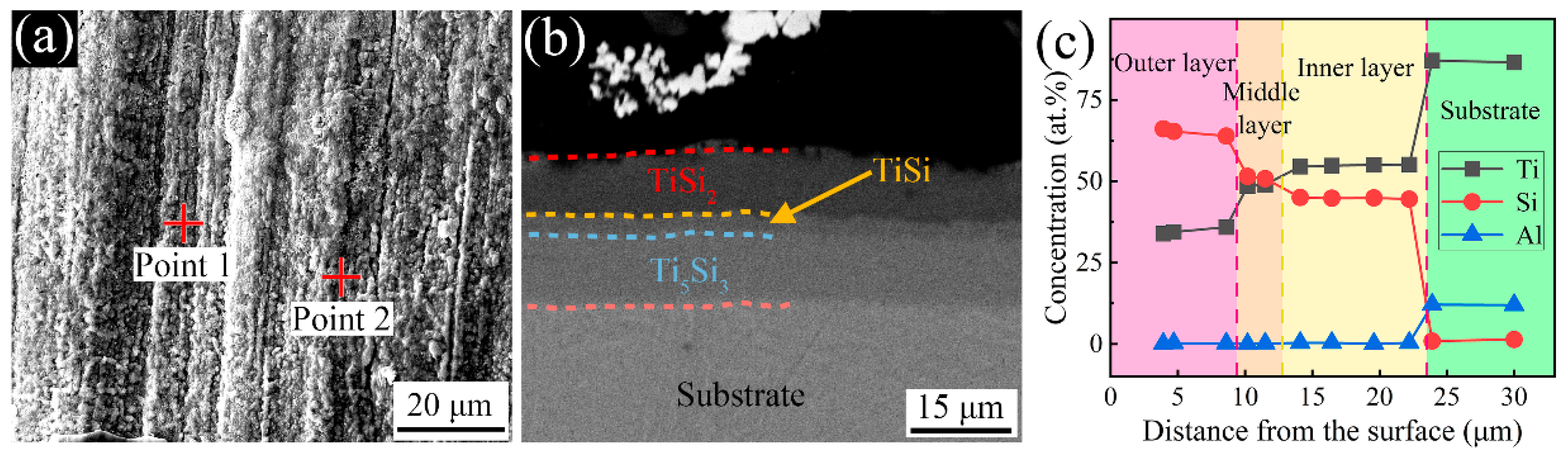 Coatings 14 00450 g003
