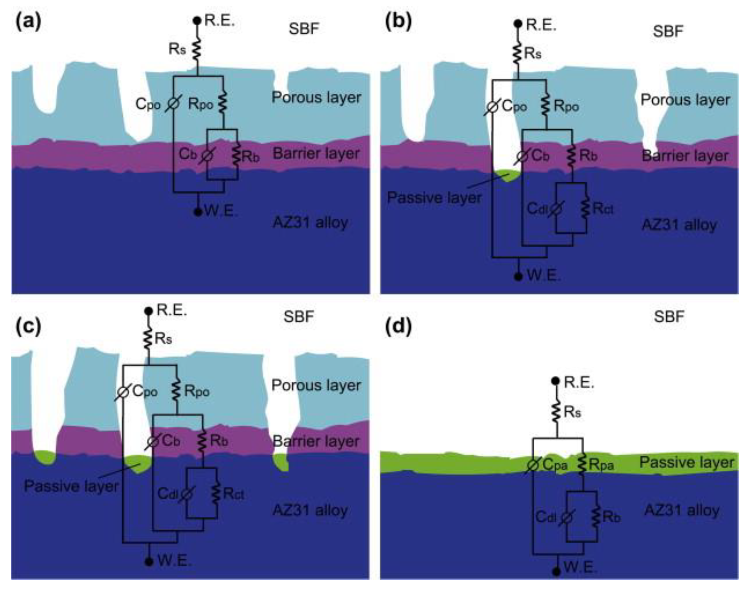 Coatings 14 00451 g005