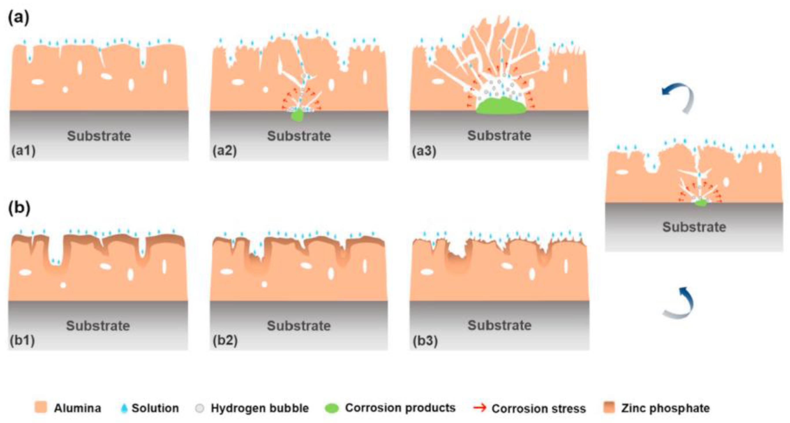 Coatings 14 00451 g006