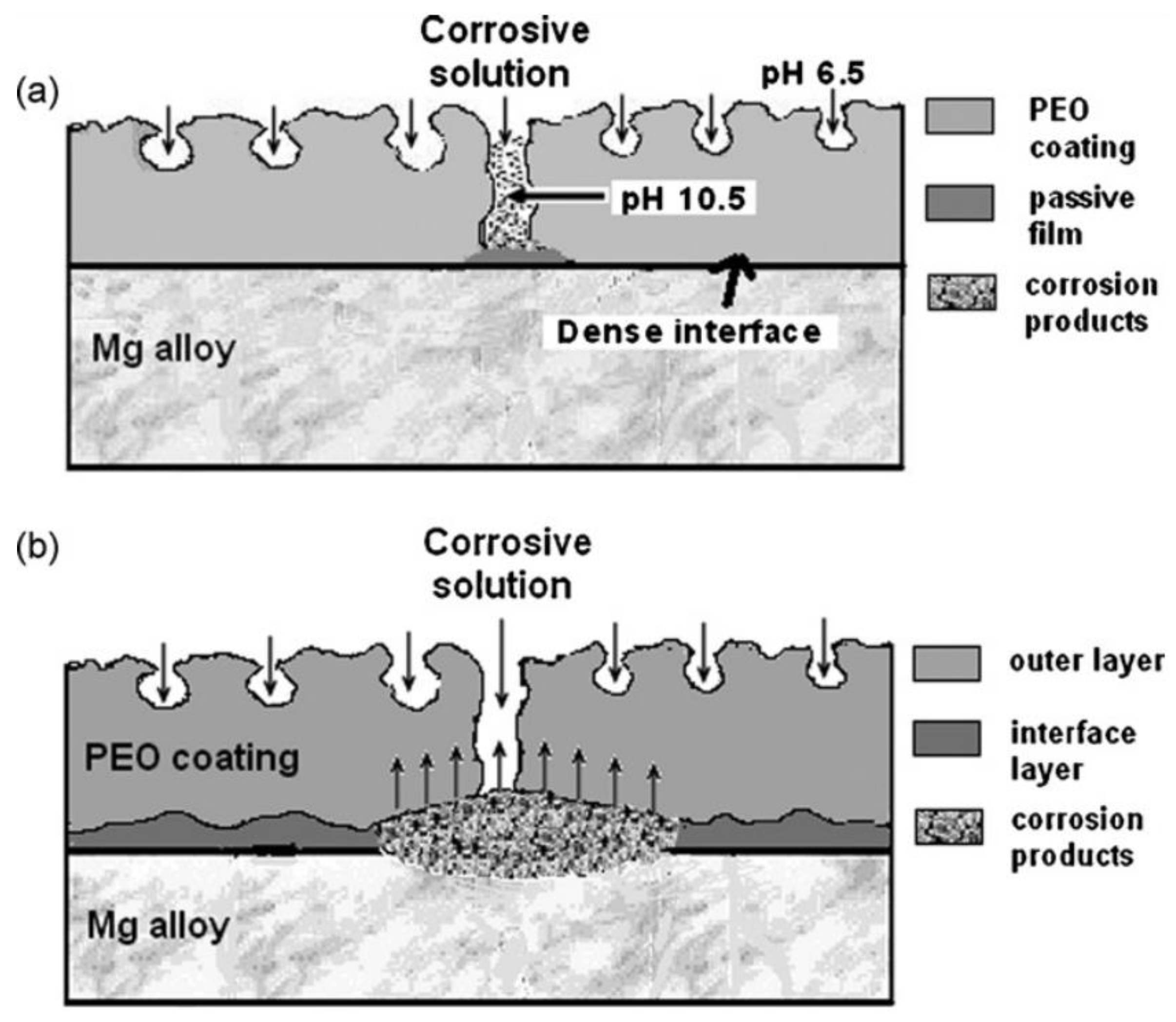 Coatings 14 00451 g007
