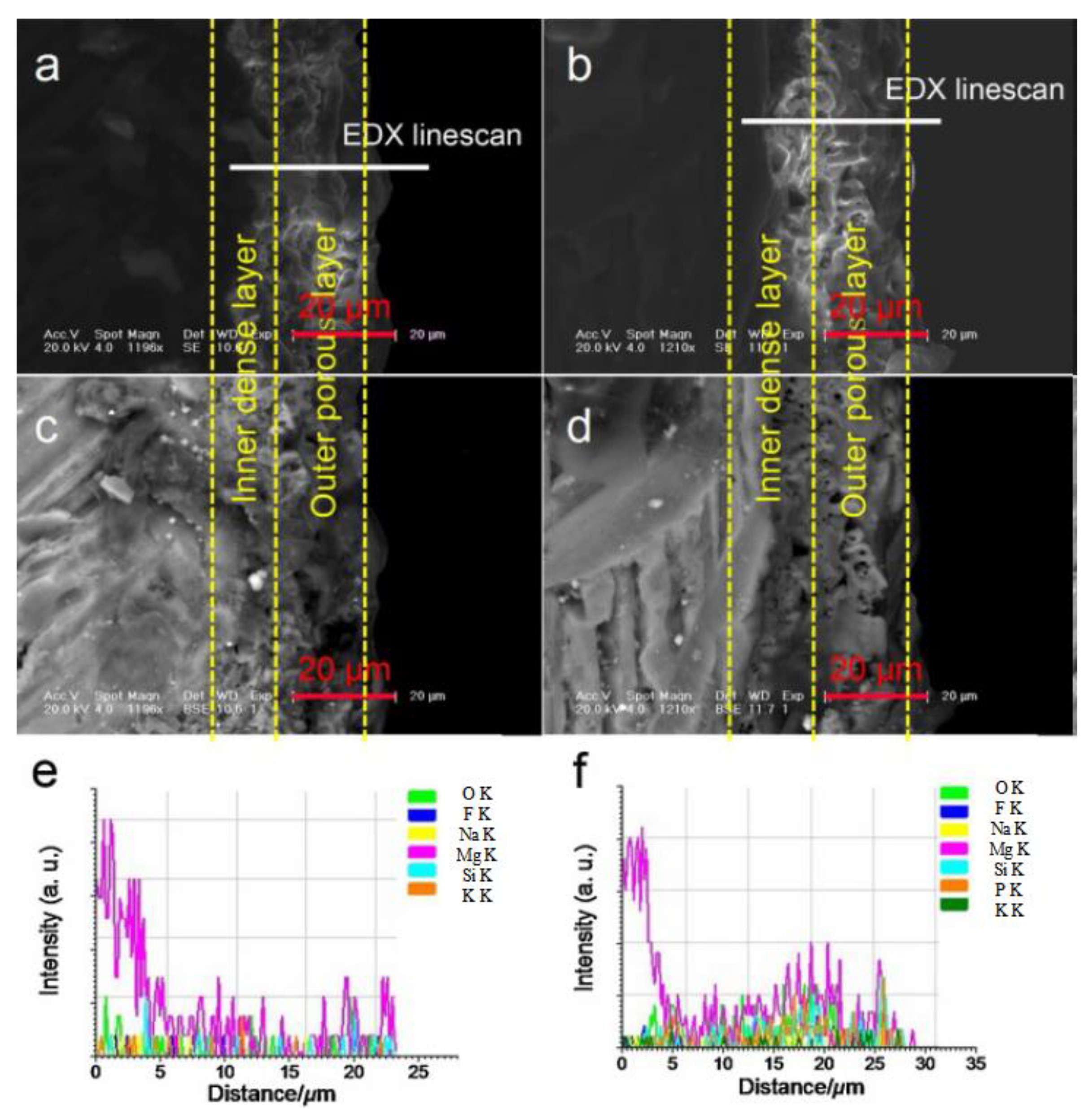Coatings 14 00451 g016