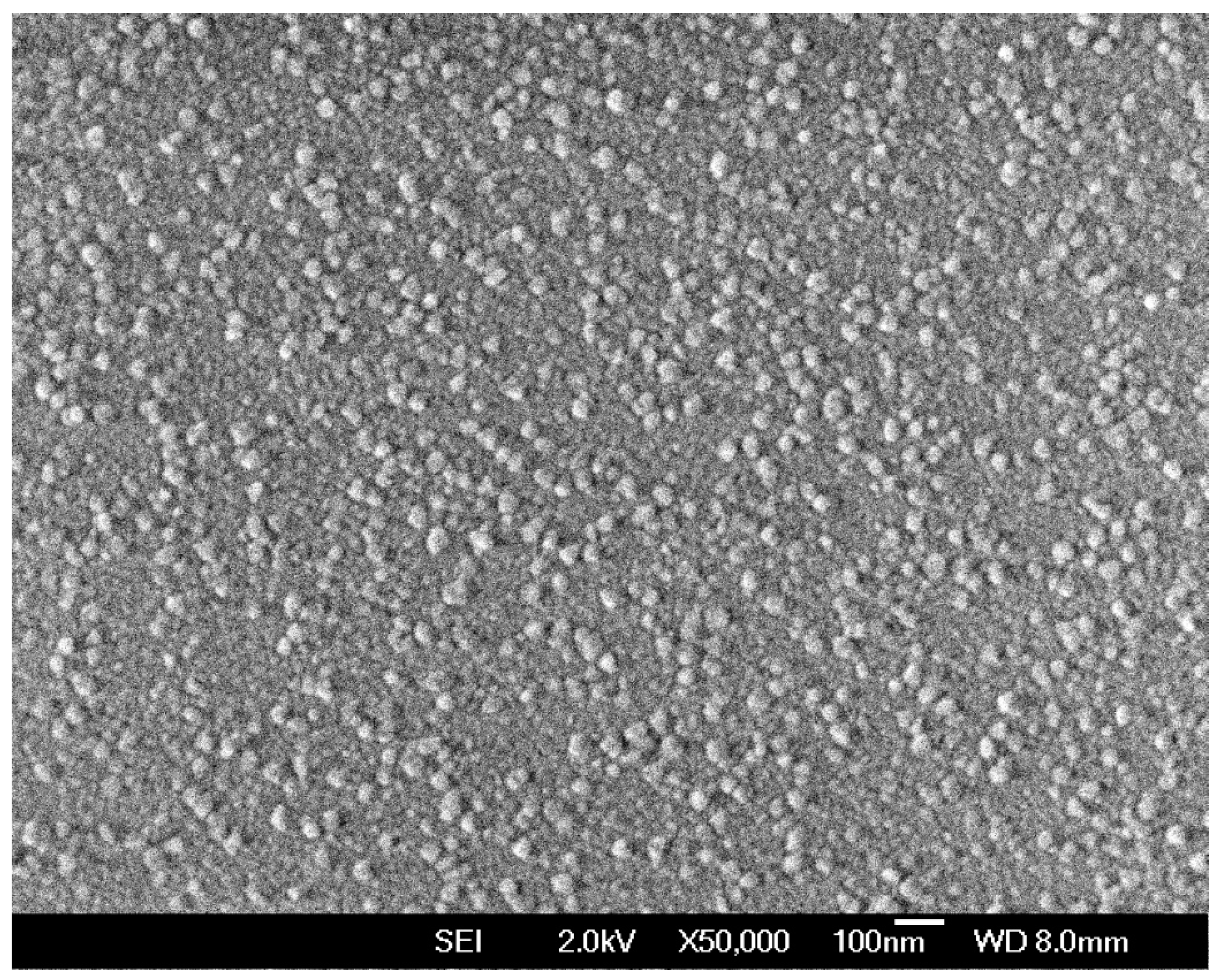 Coatings 14 00452 g001