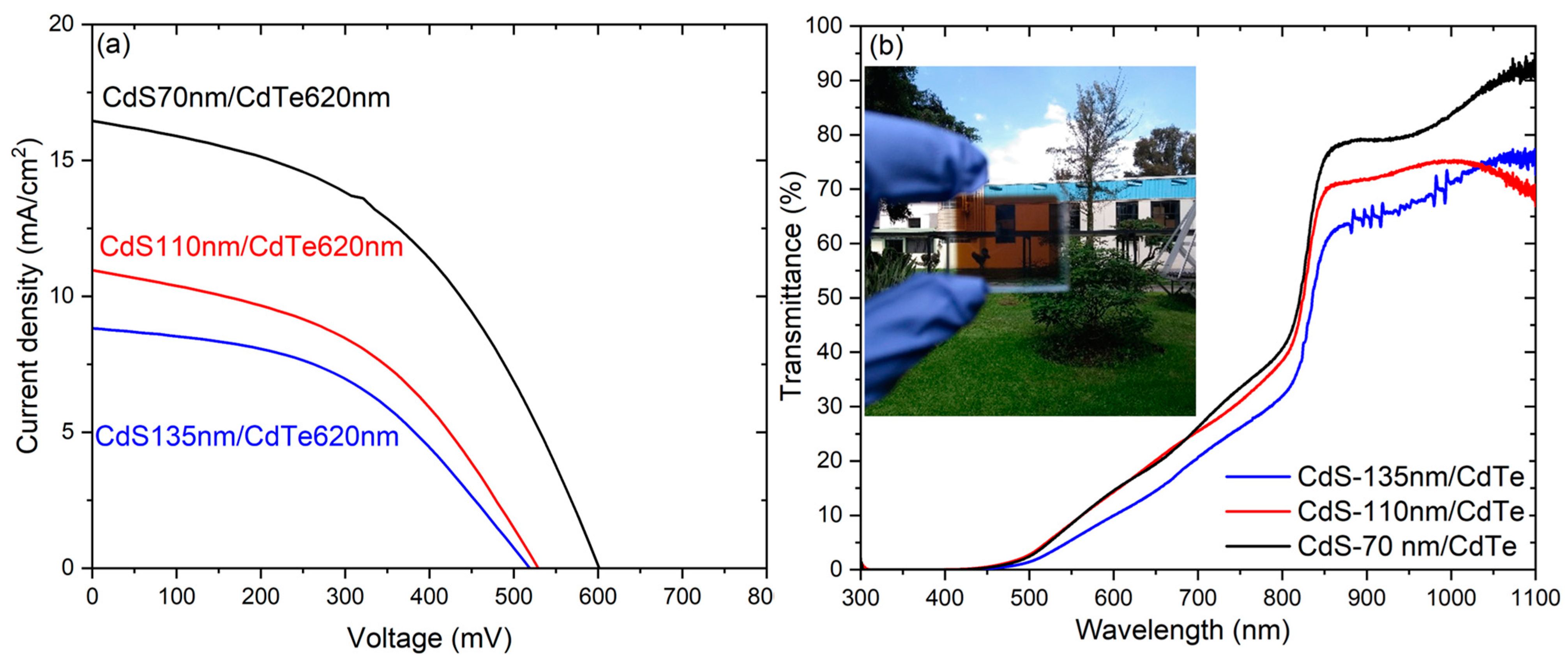 Coatings 14 00452 g006