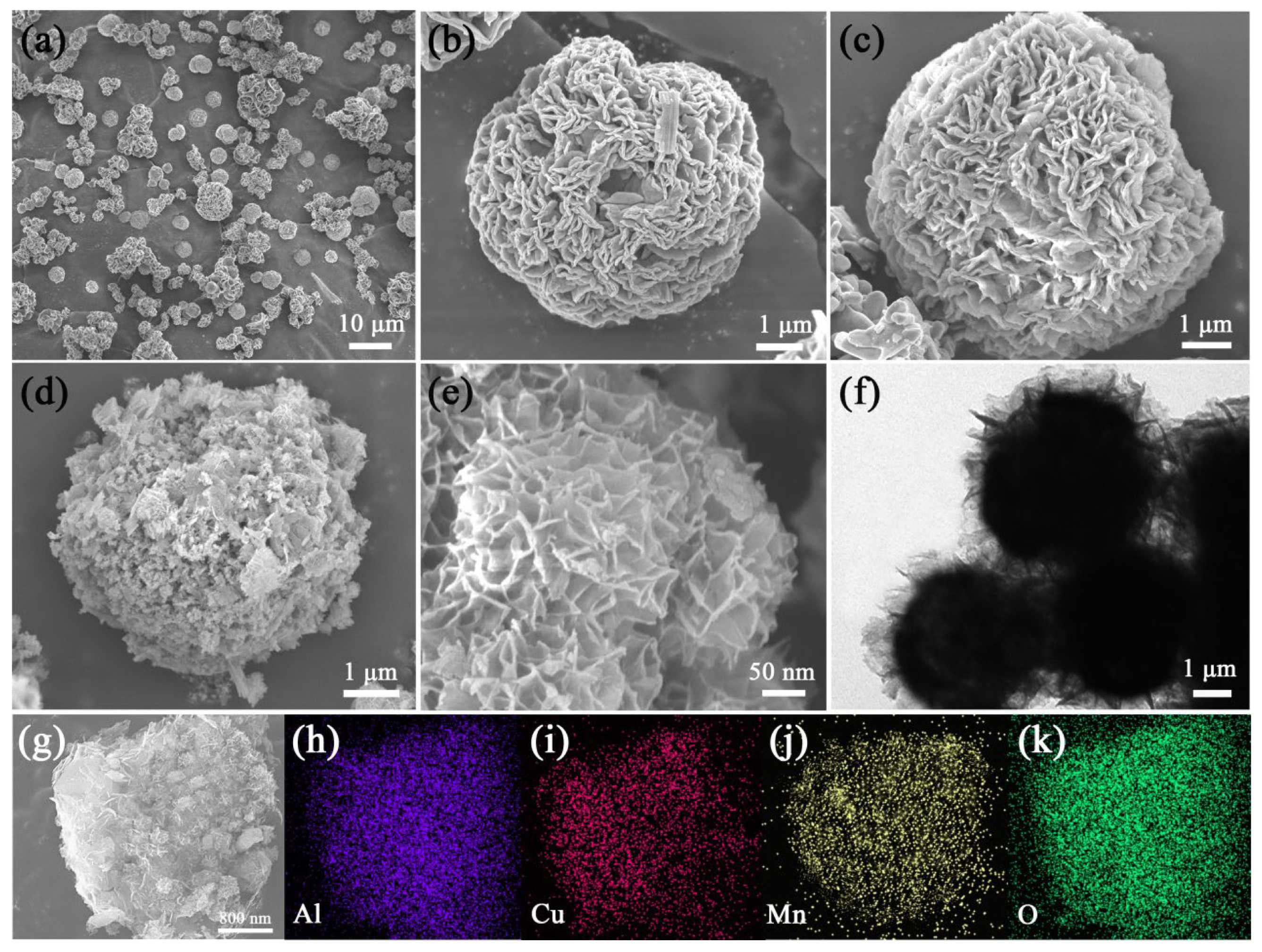 Coatings 14 00453 g001