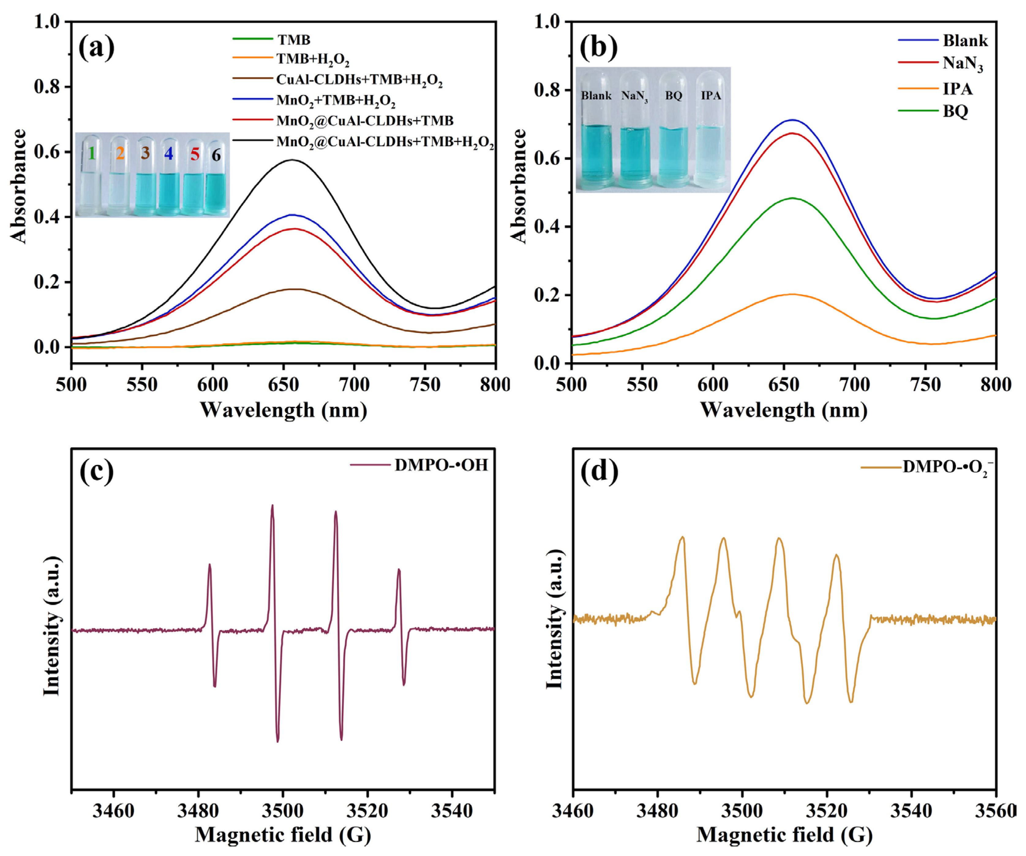 Coatings 14 00453 g003