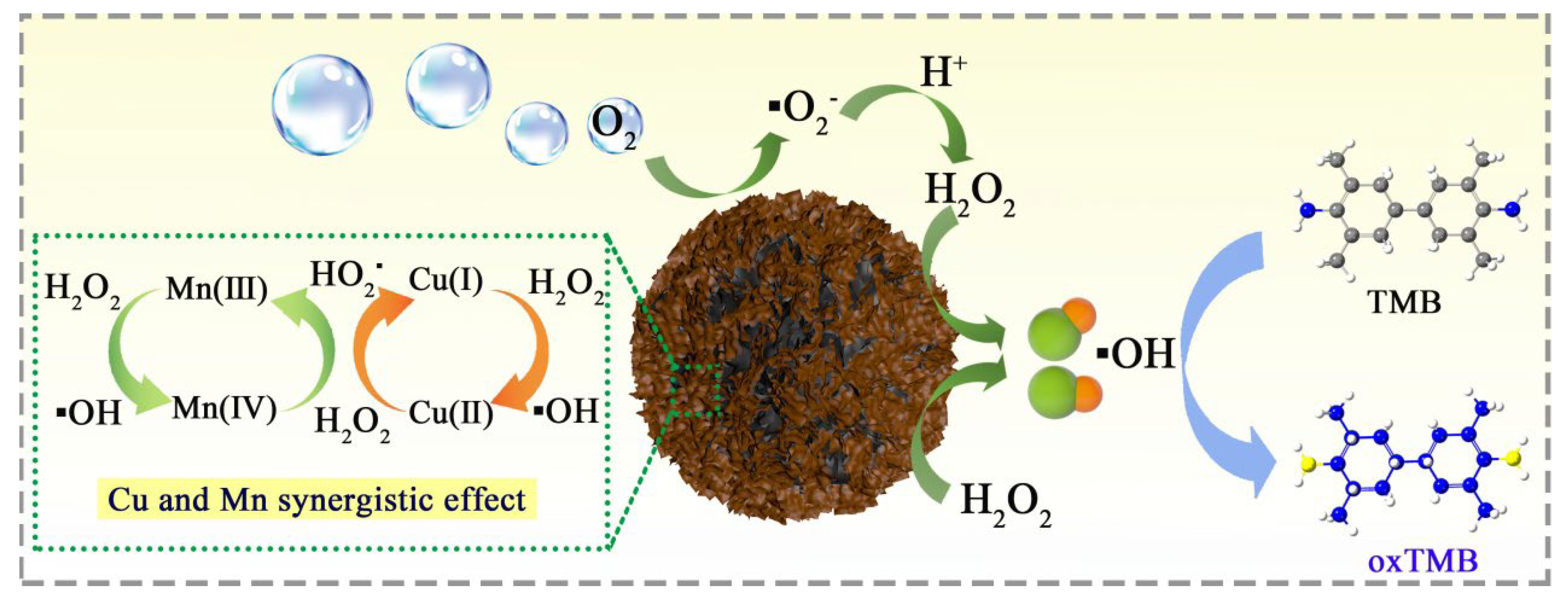 Coatings 14 00453 g004
