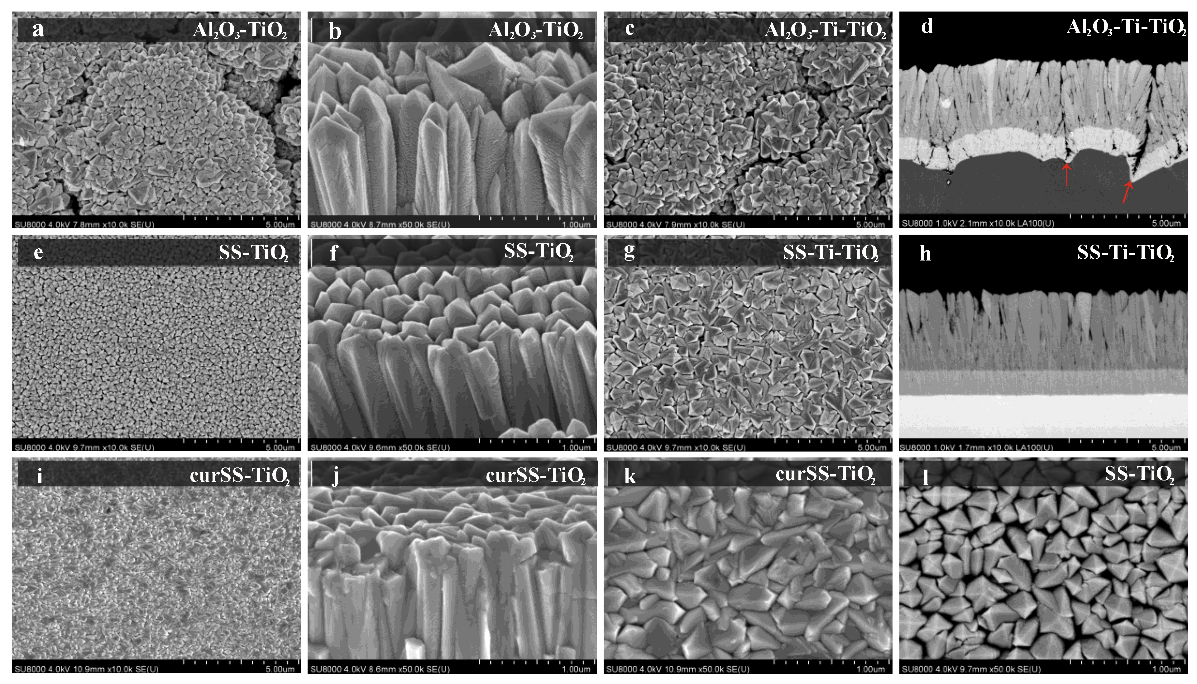 Coatings 14 00454 g004