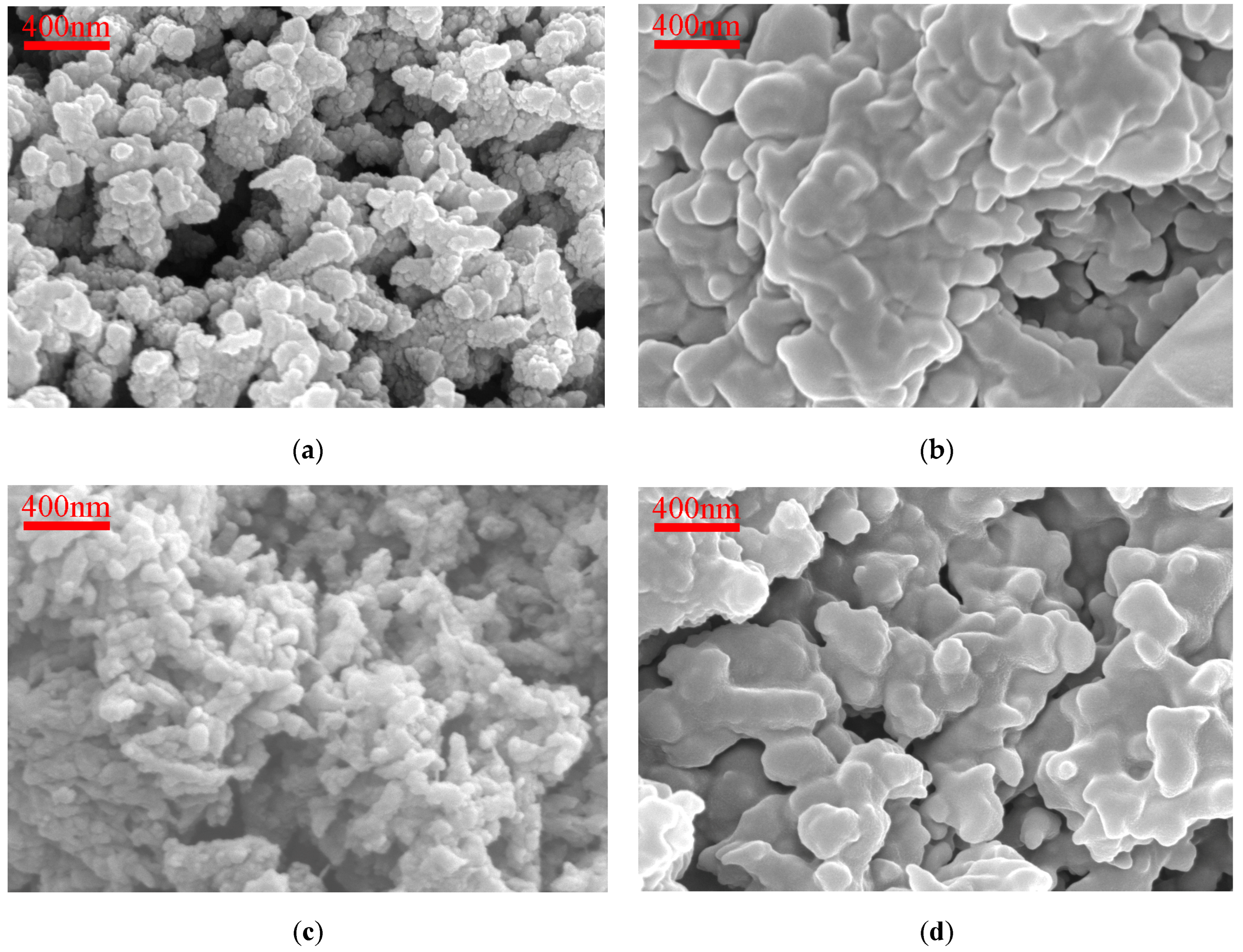 Coatings 14 00456 g003