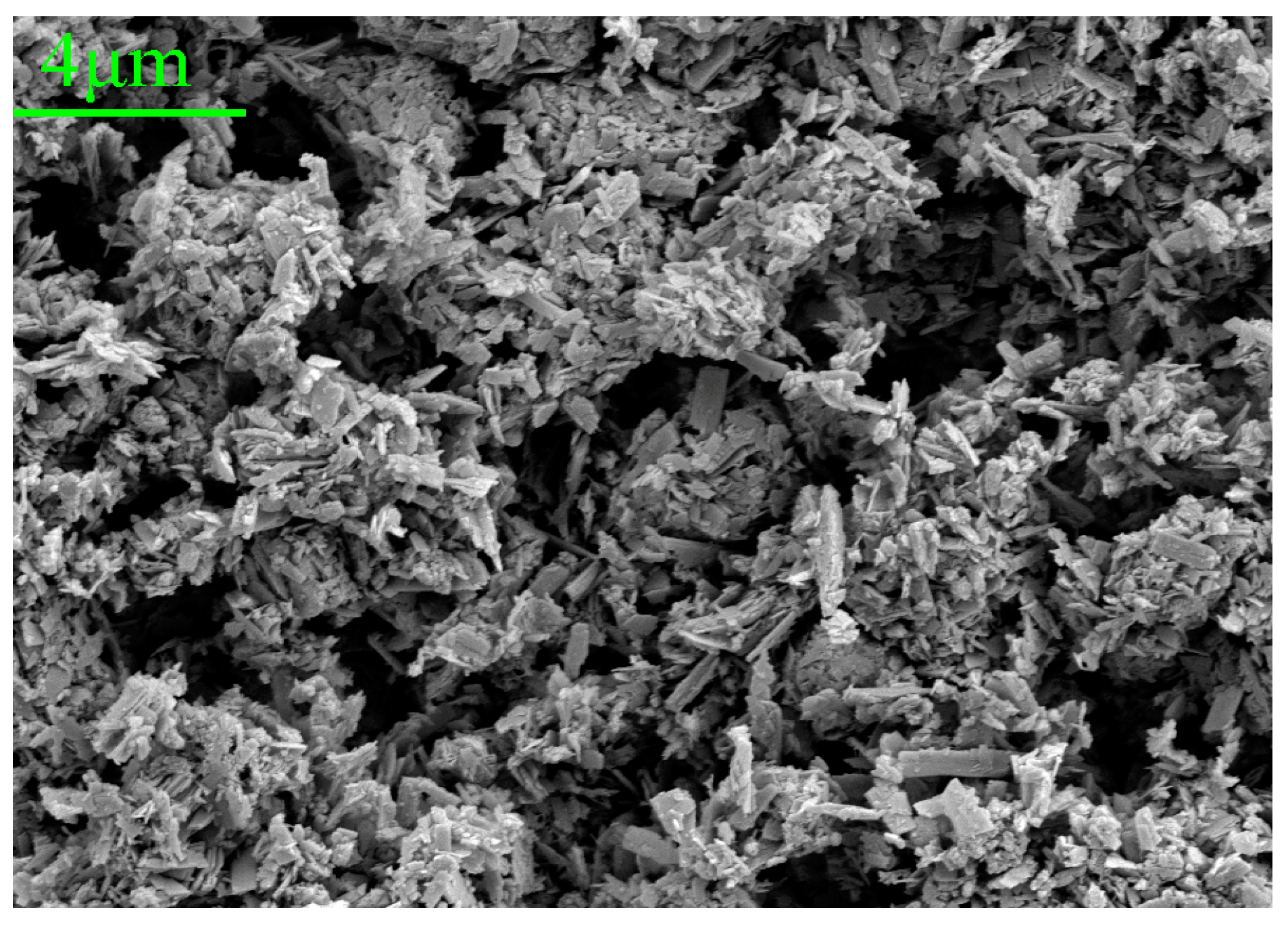 Coatings 14 00456 g011
