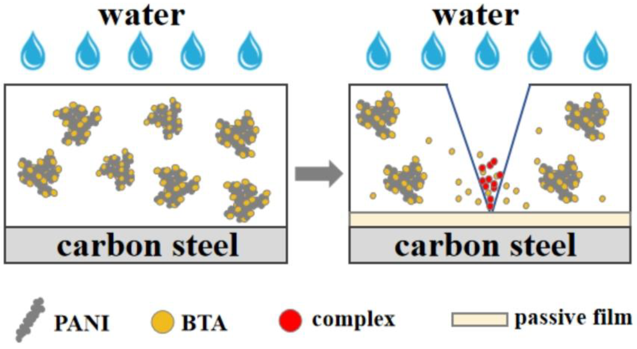 Coatings 14 00456 g016