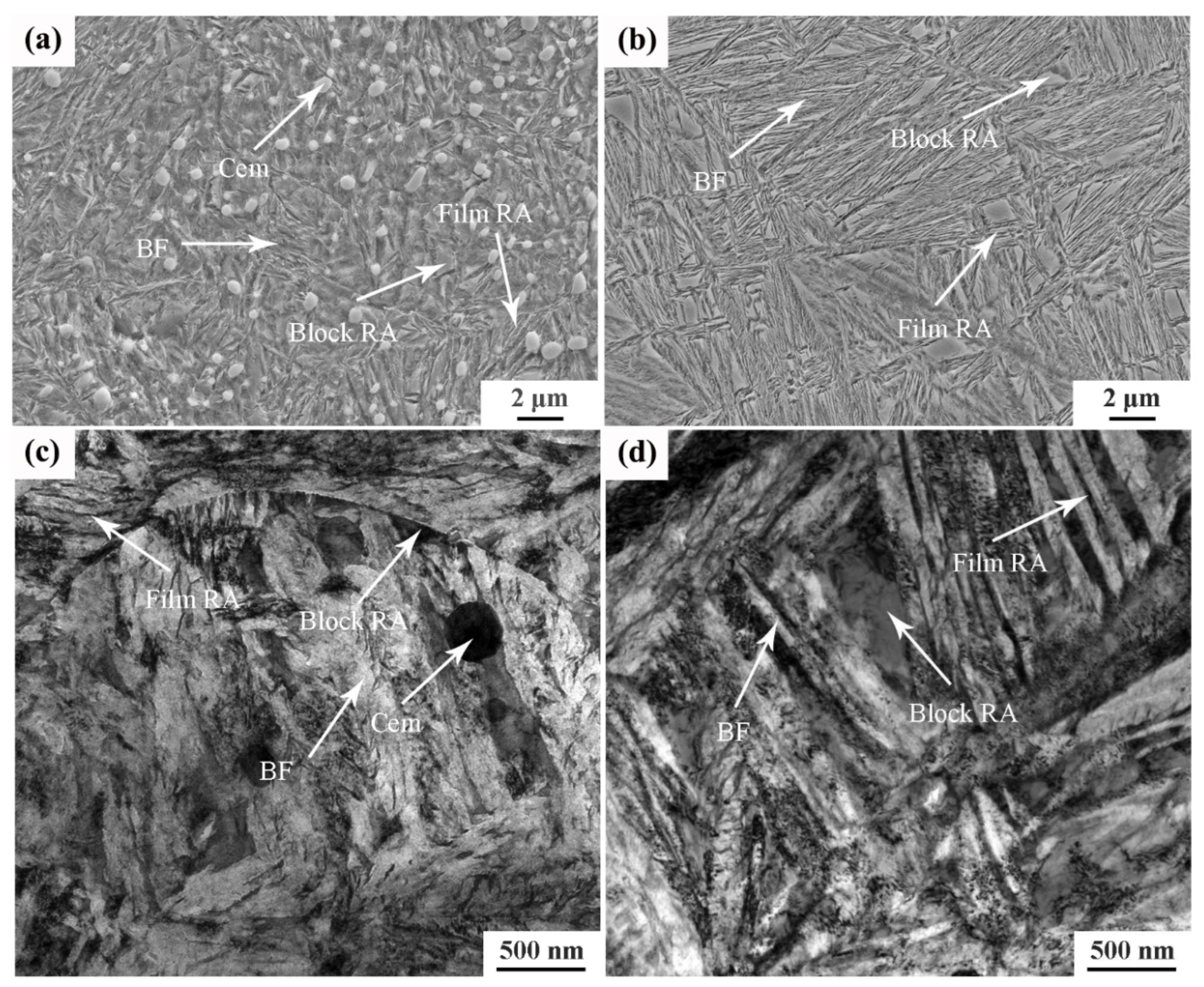 Coatings 14 00457 g003