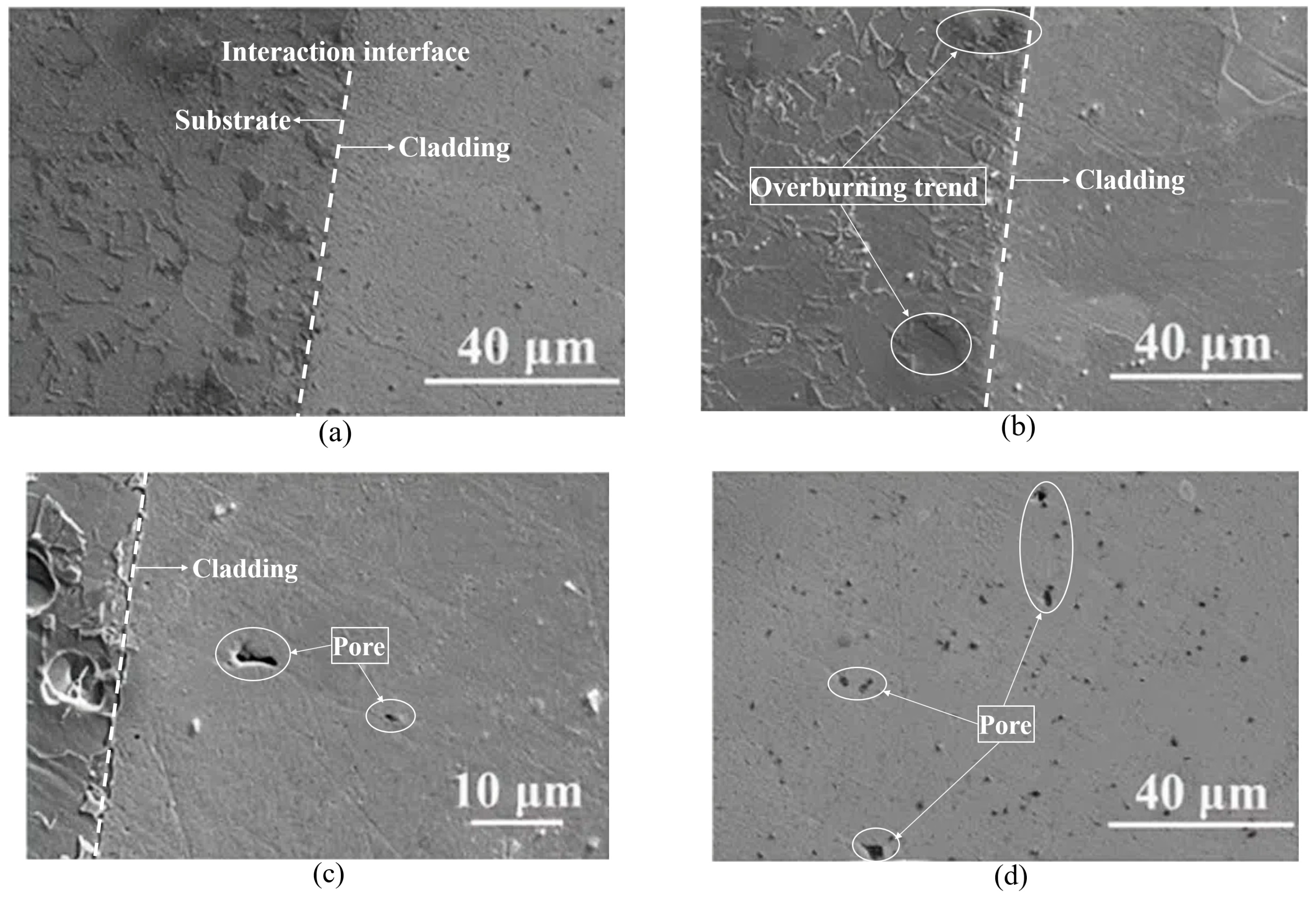 Coatings 14 00458 g025