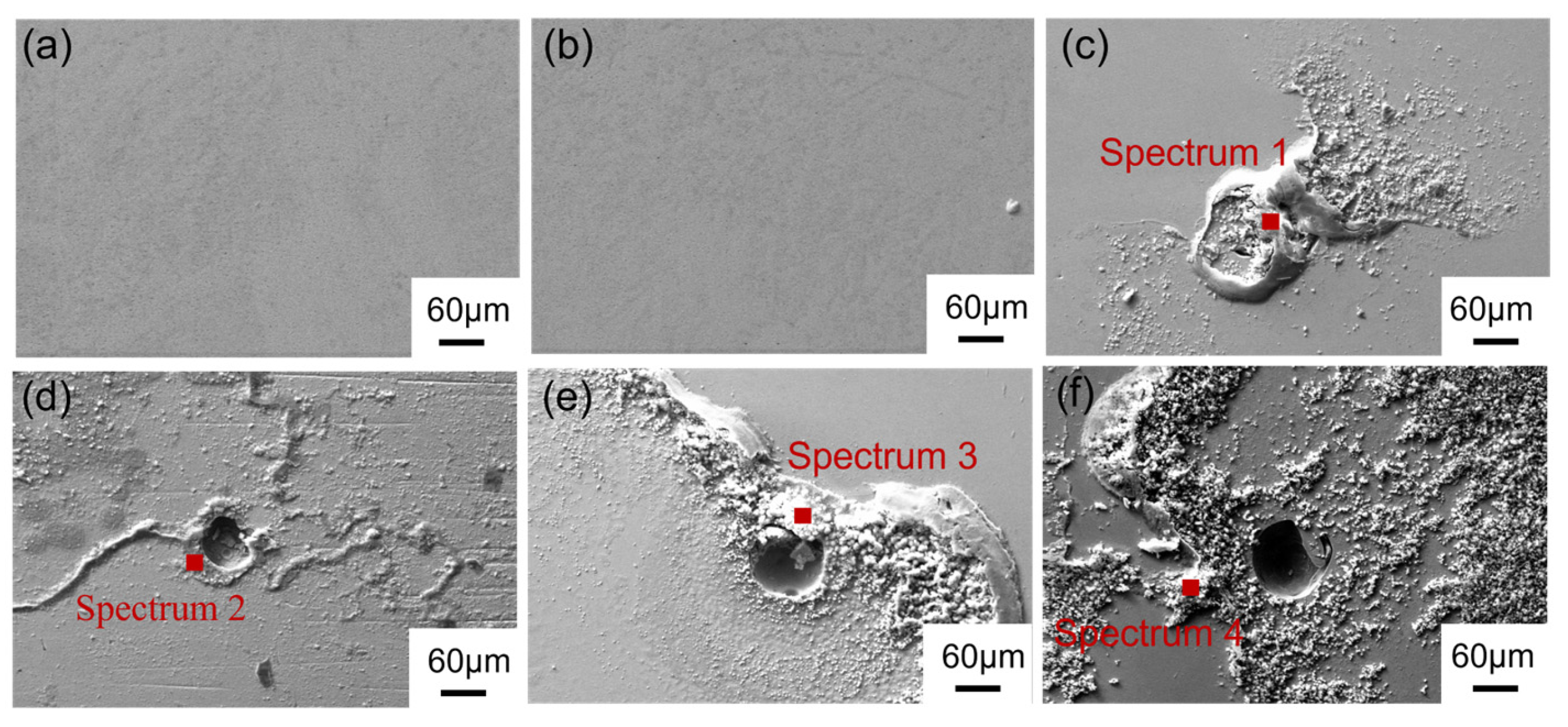 Coatings 14 00459 g007
