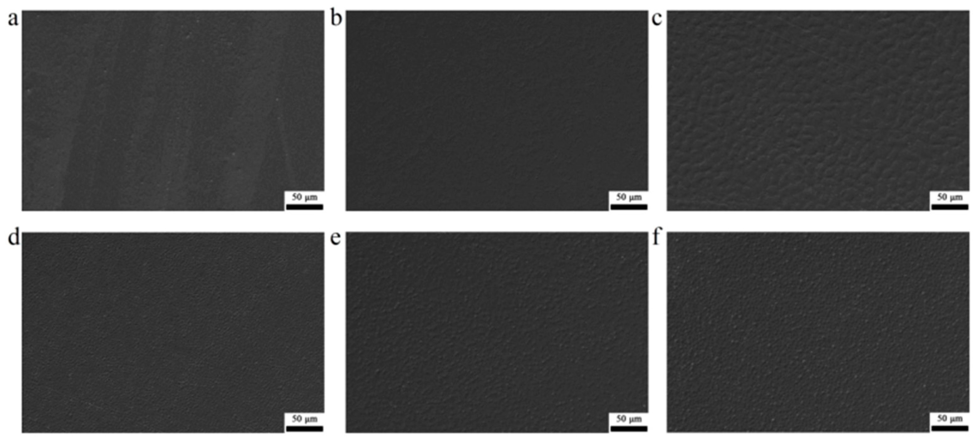 Coatings 14 00461 g010