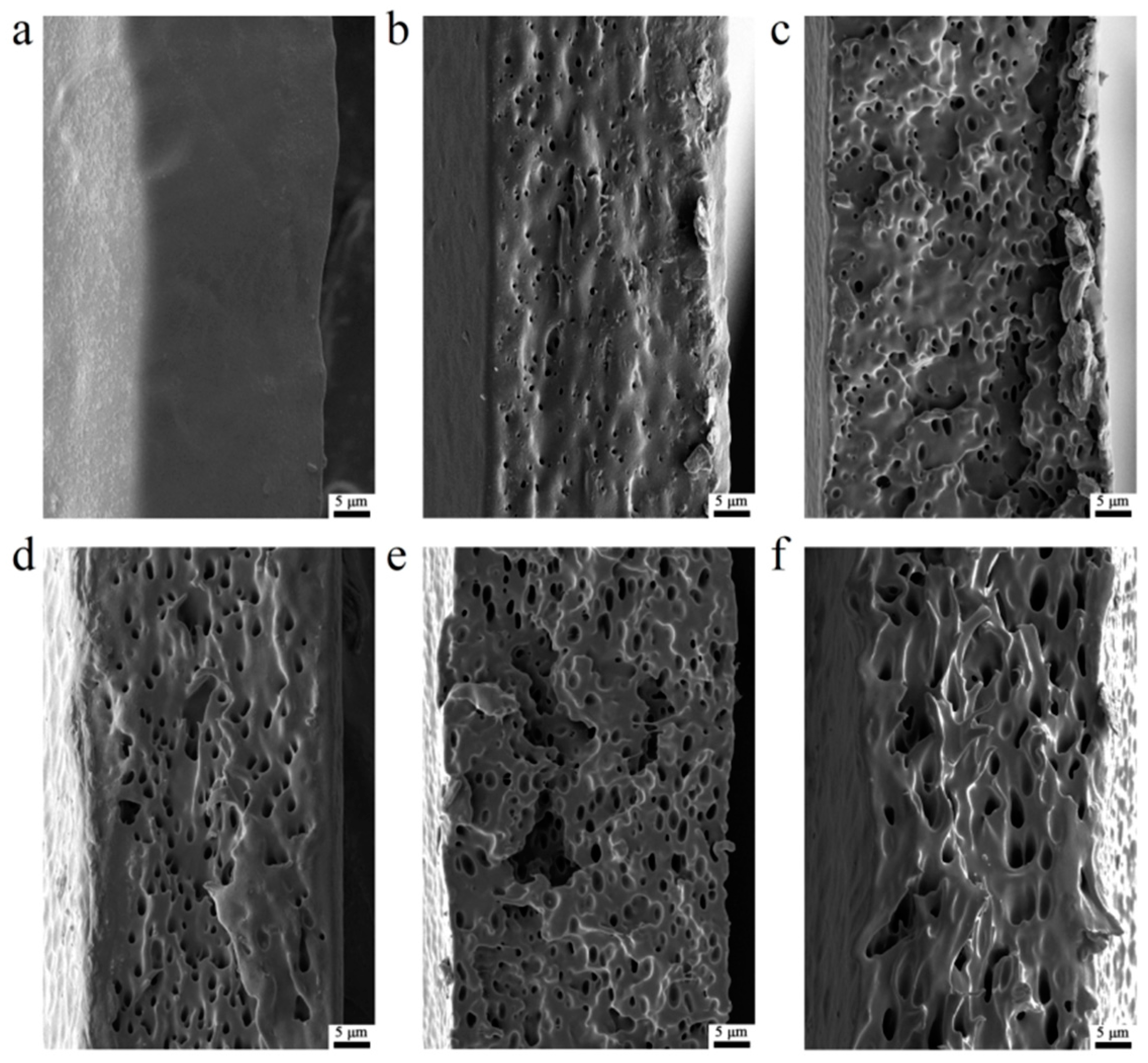 Coatings 14 00461 g011