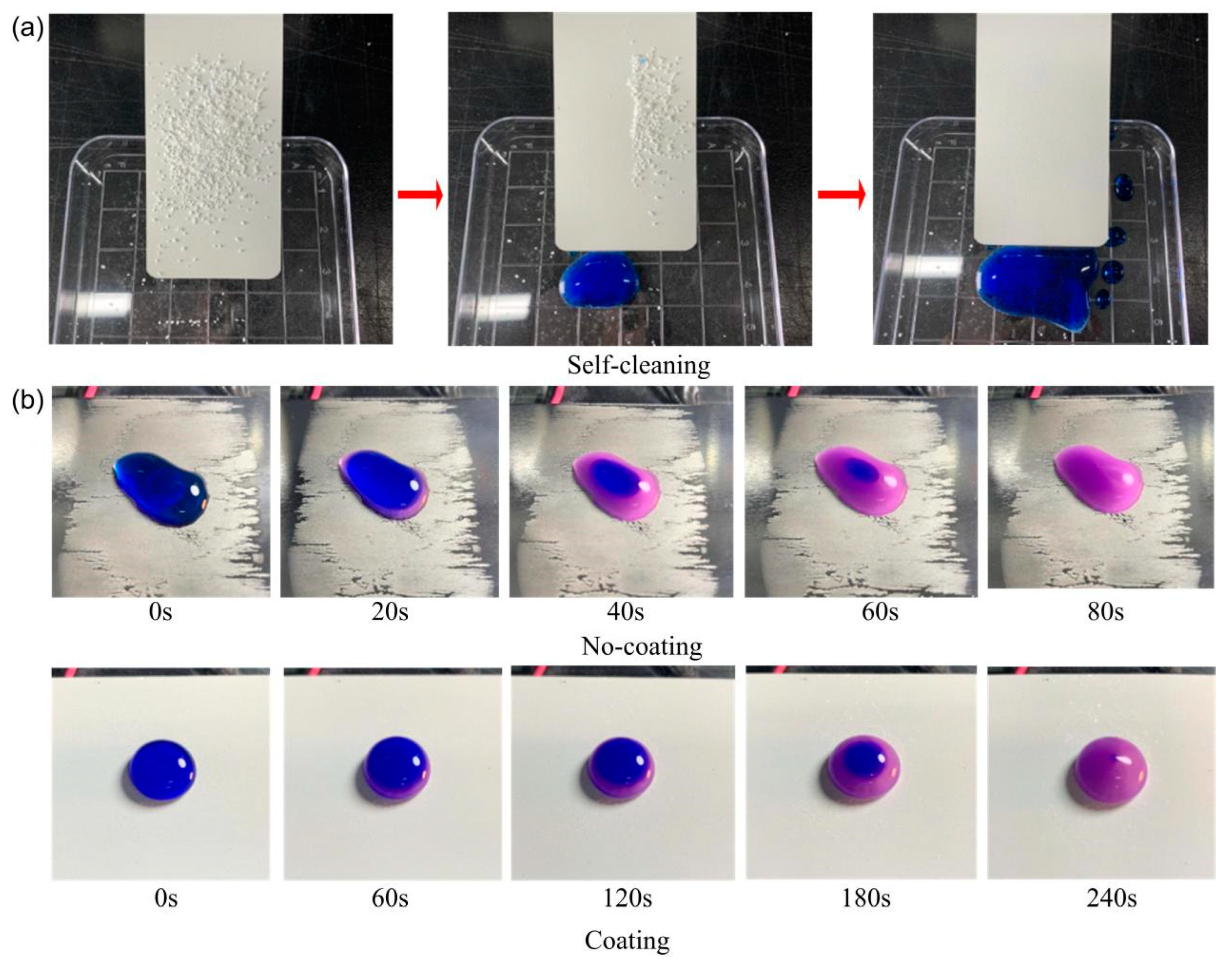 Coatings 14 00463 g004