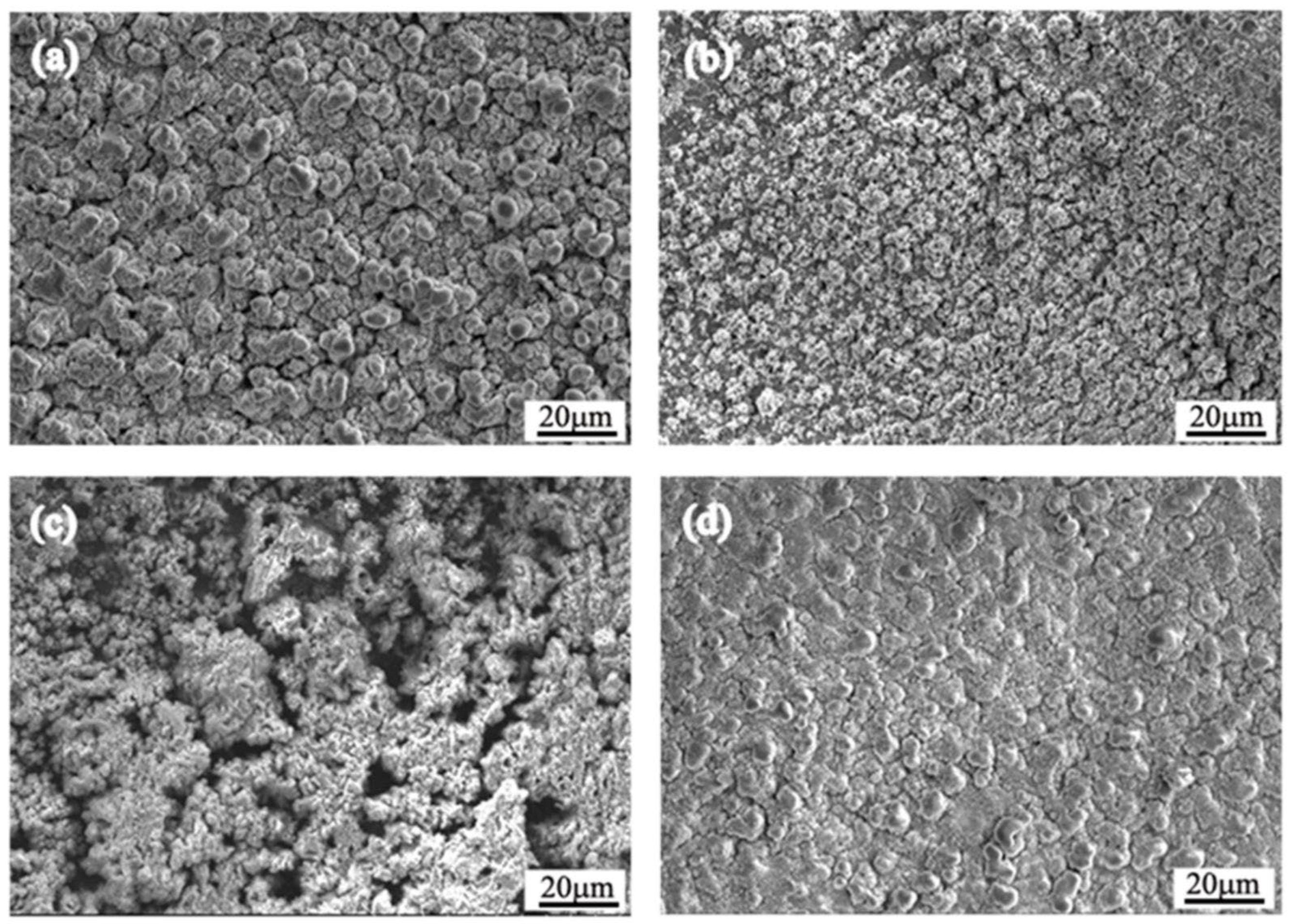 Coatings 14 00465 g008
