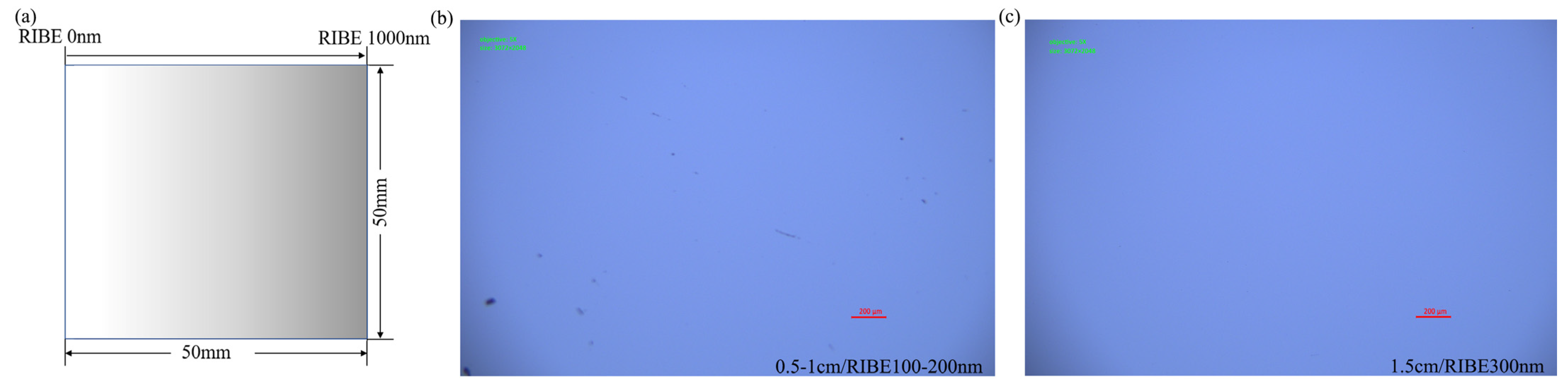 Coatings 14 00466 g003