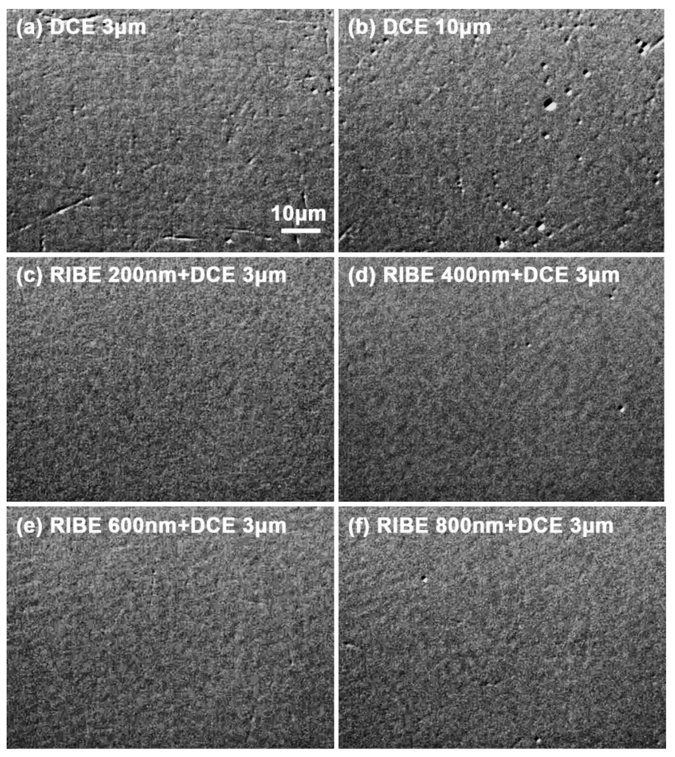 Coatings 14 00466 g005