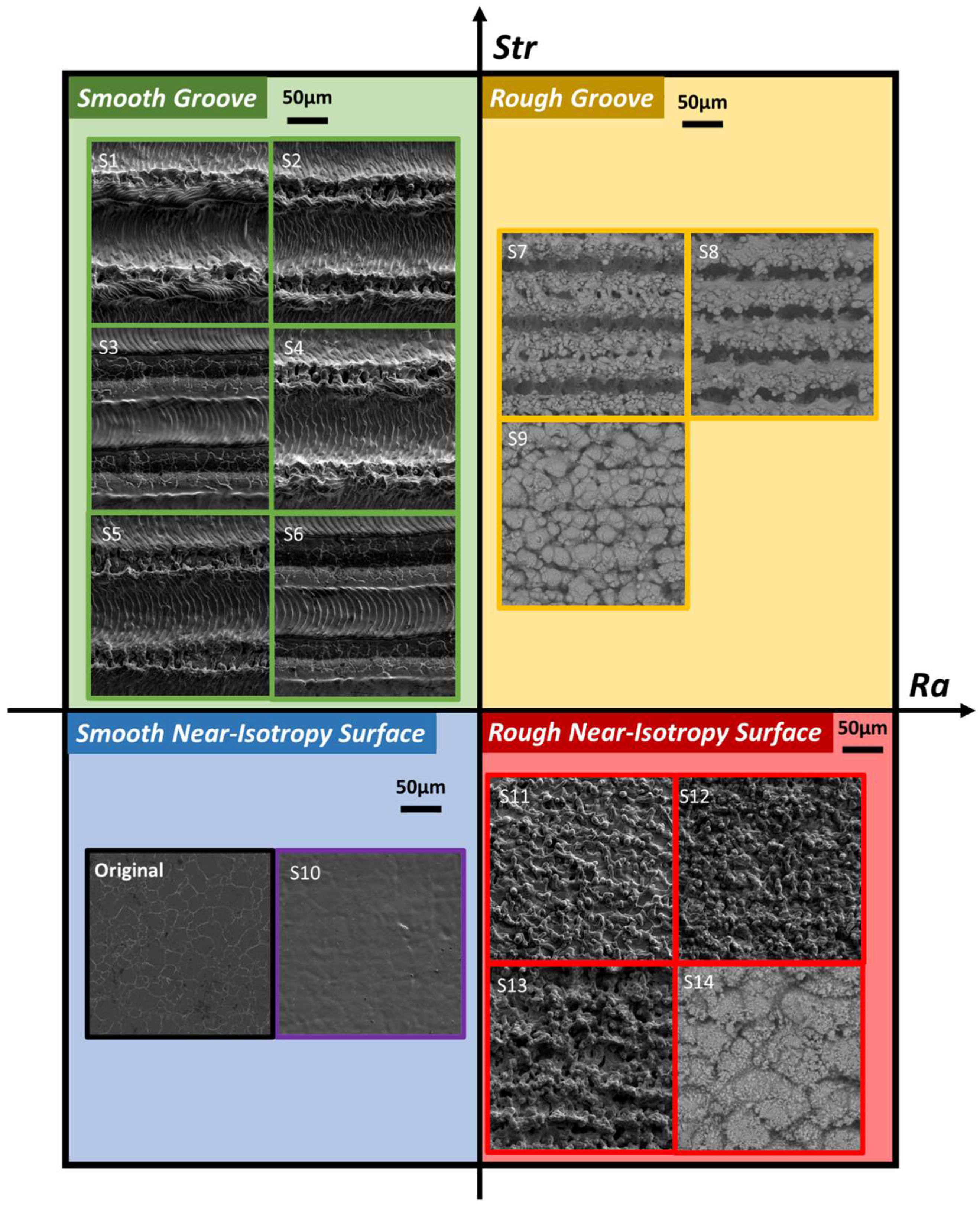 Coatings 14 00467 g006